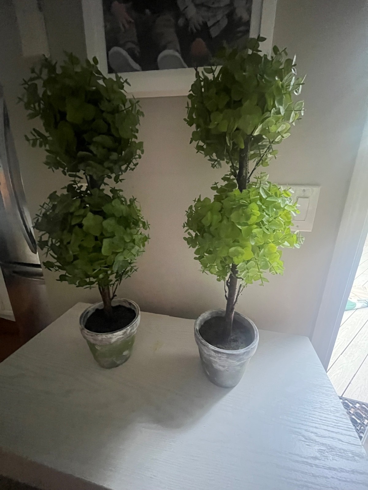 Faux boxwood topiary trees Set of 2, 23 inches in height