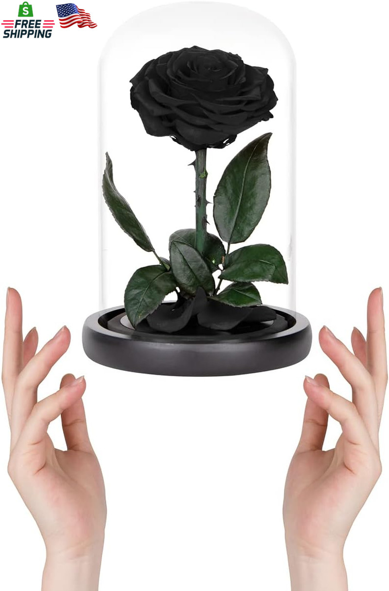 Preserved Roses Black Roses in Glass Dome, Medium, Preserved Flowers for Women