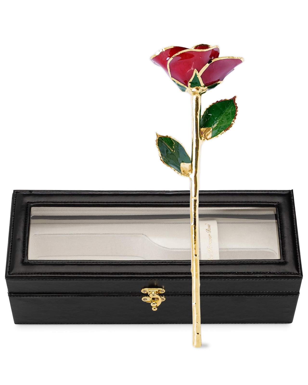 Forever Rose Gold Trimmed Red Open Bloom Real Rose Dipped in 24K