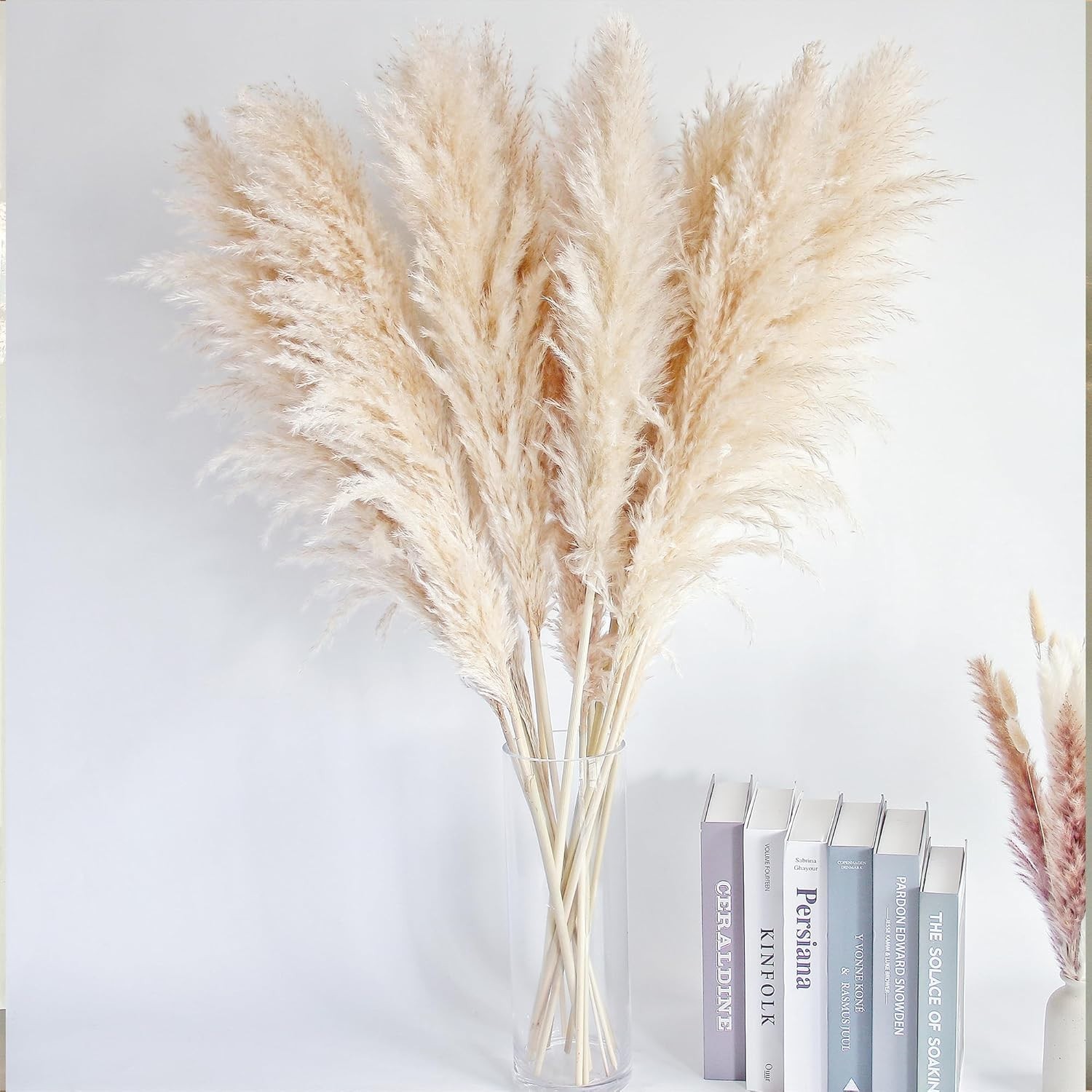 Natural Beige Pampas Grass – Farmhouse Boho Decor