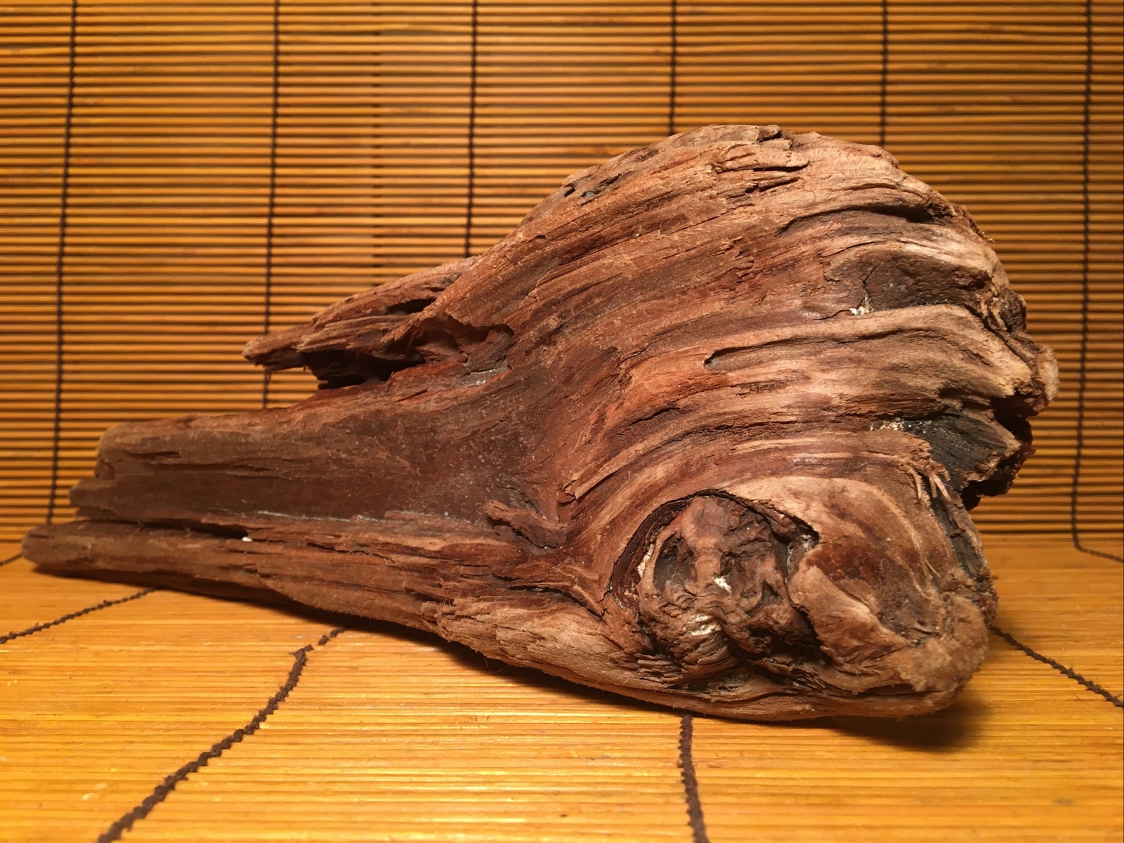 Beautiful 12” DRIFTWOOD Piece Terrarium Aquascape Floral Decor Crafts Art