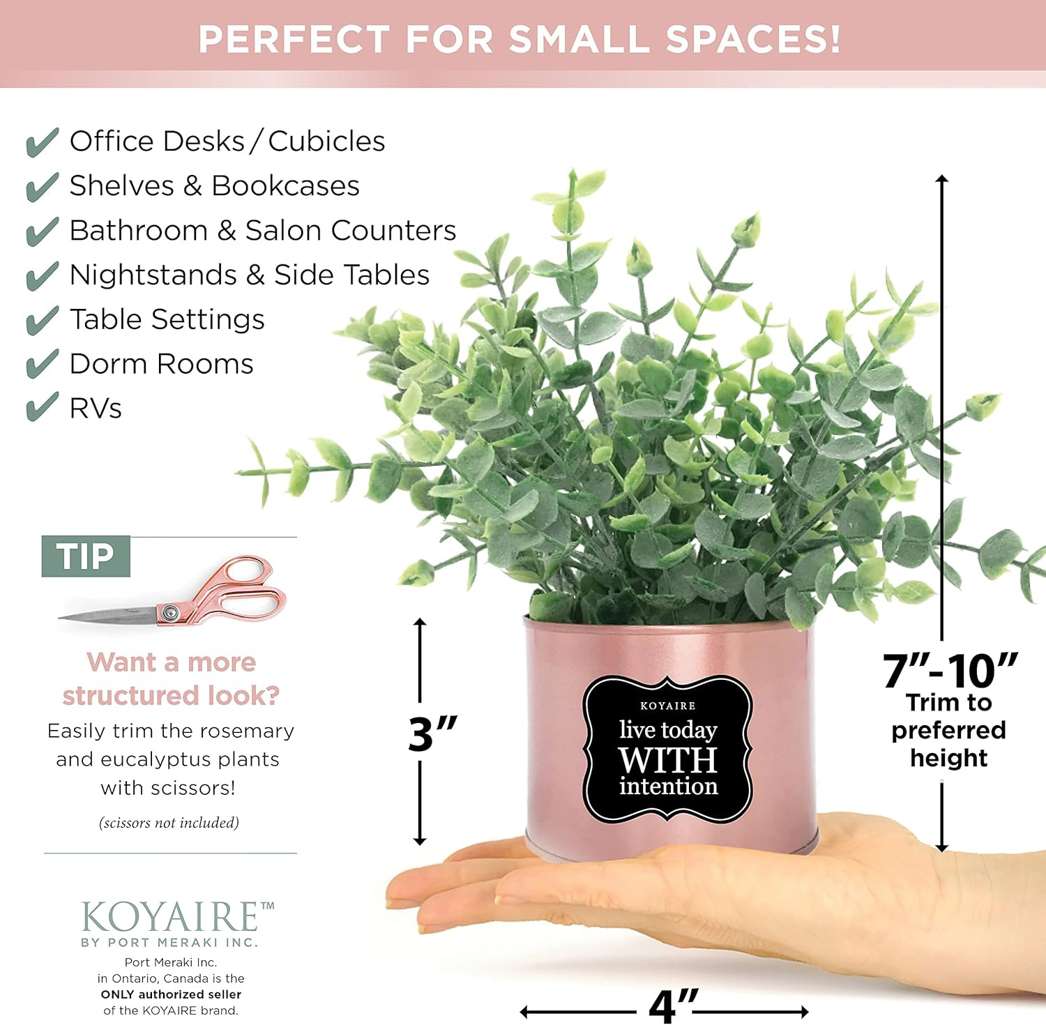 3 Motivational Faux Plants for Desk – Rose Gold Decor for Office – Small Home Ac