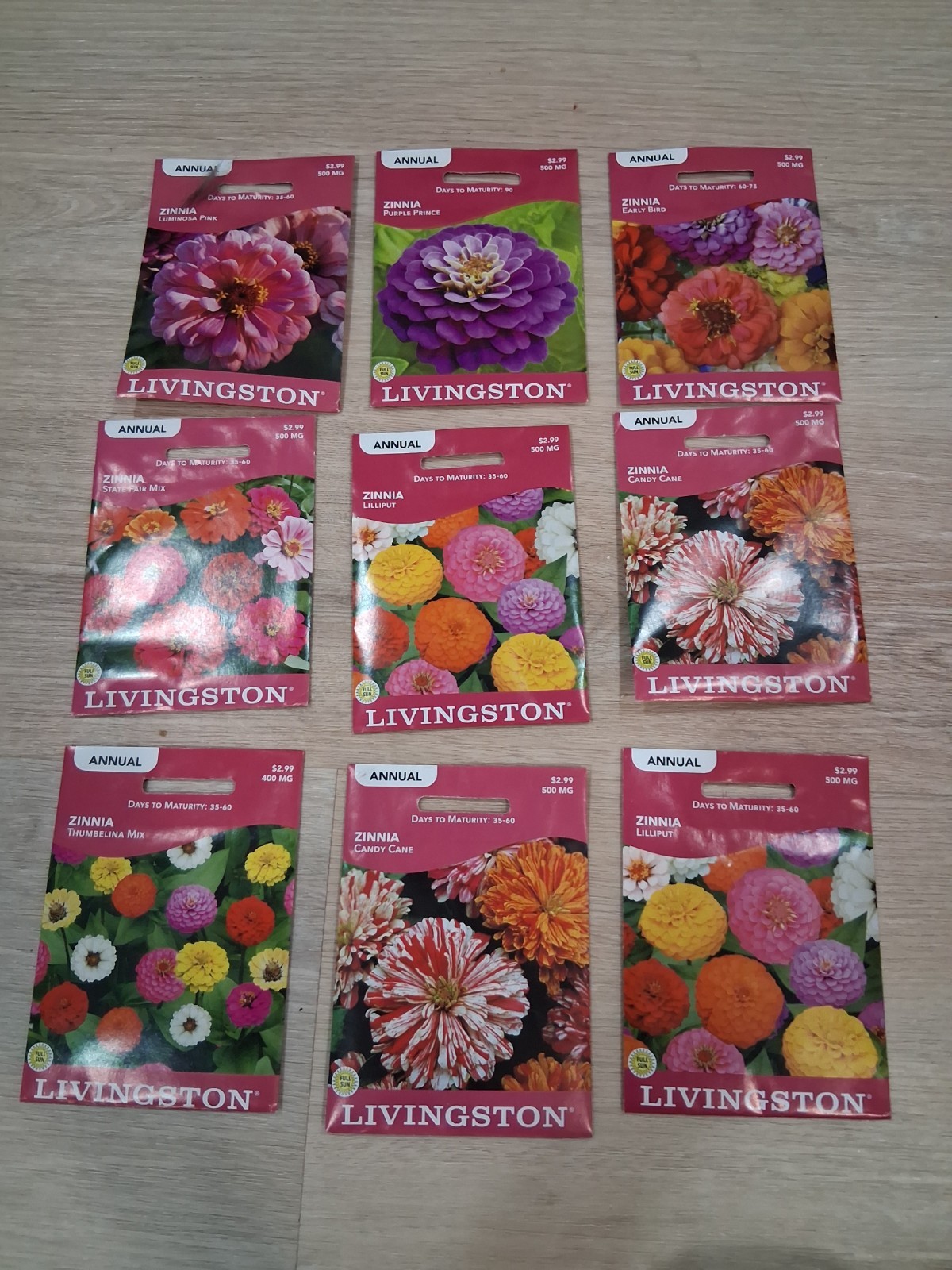 Lot of Zinnia flowers