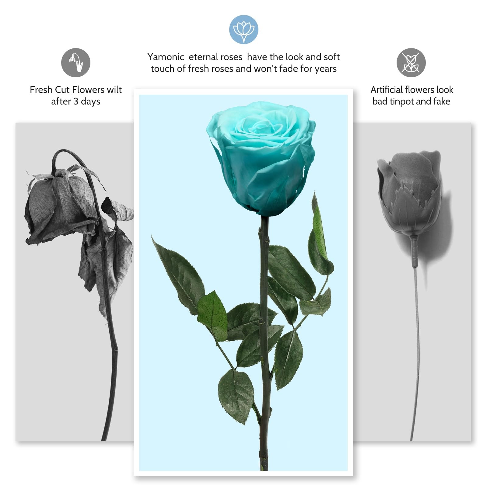 1 PCS Preserved Flower Rose Single Real Gift Box Mom Wife Girlfriend Anniversary