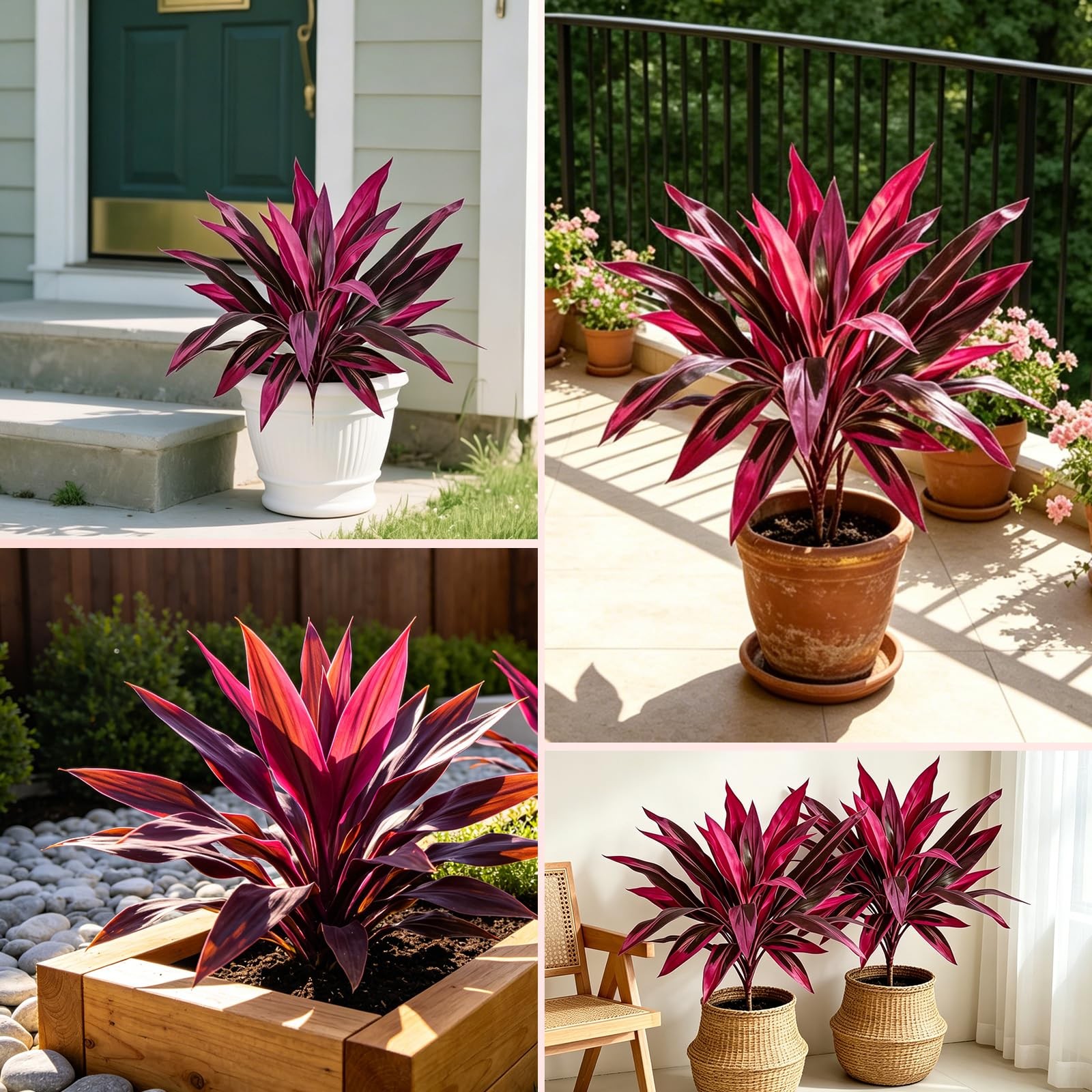 2pcs Artificial Boston Fern & Dragon’s Tree, Red/Pink
