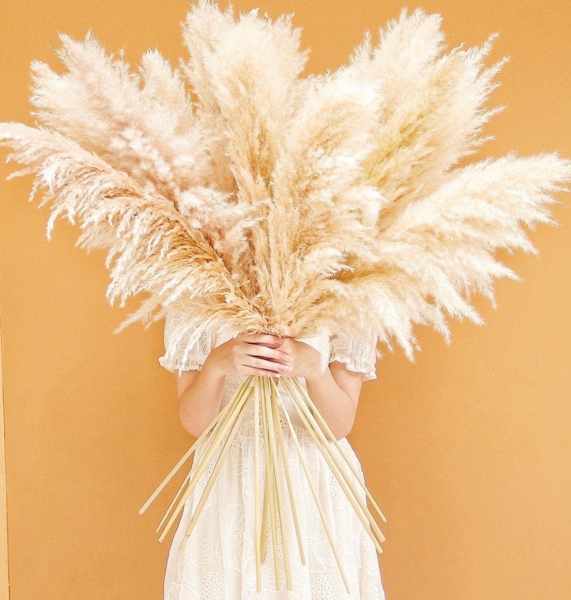 PAMPAS GRASS BEAUTIFUL BEIGE VERY FLUFFY 40 INCHES TALL 10 STEMS HOME DECOR