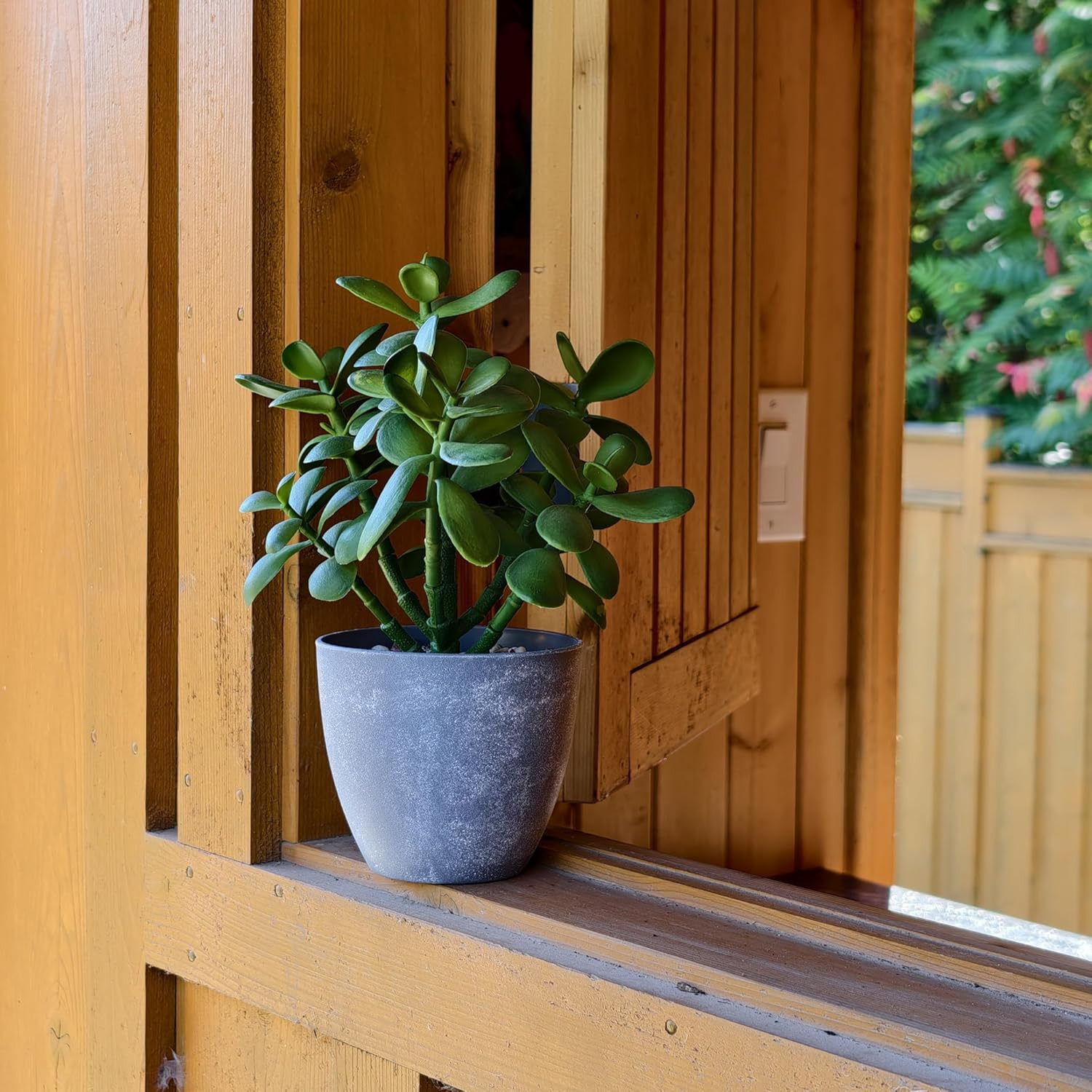 12” Artificial Jade Plant in Minimalist Gray Pot, Luxury Real-Touch Faux Succule