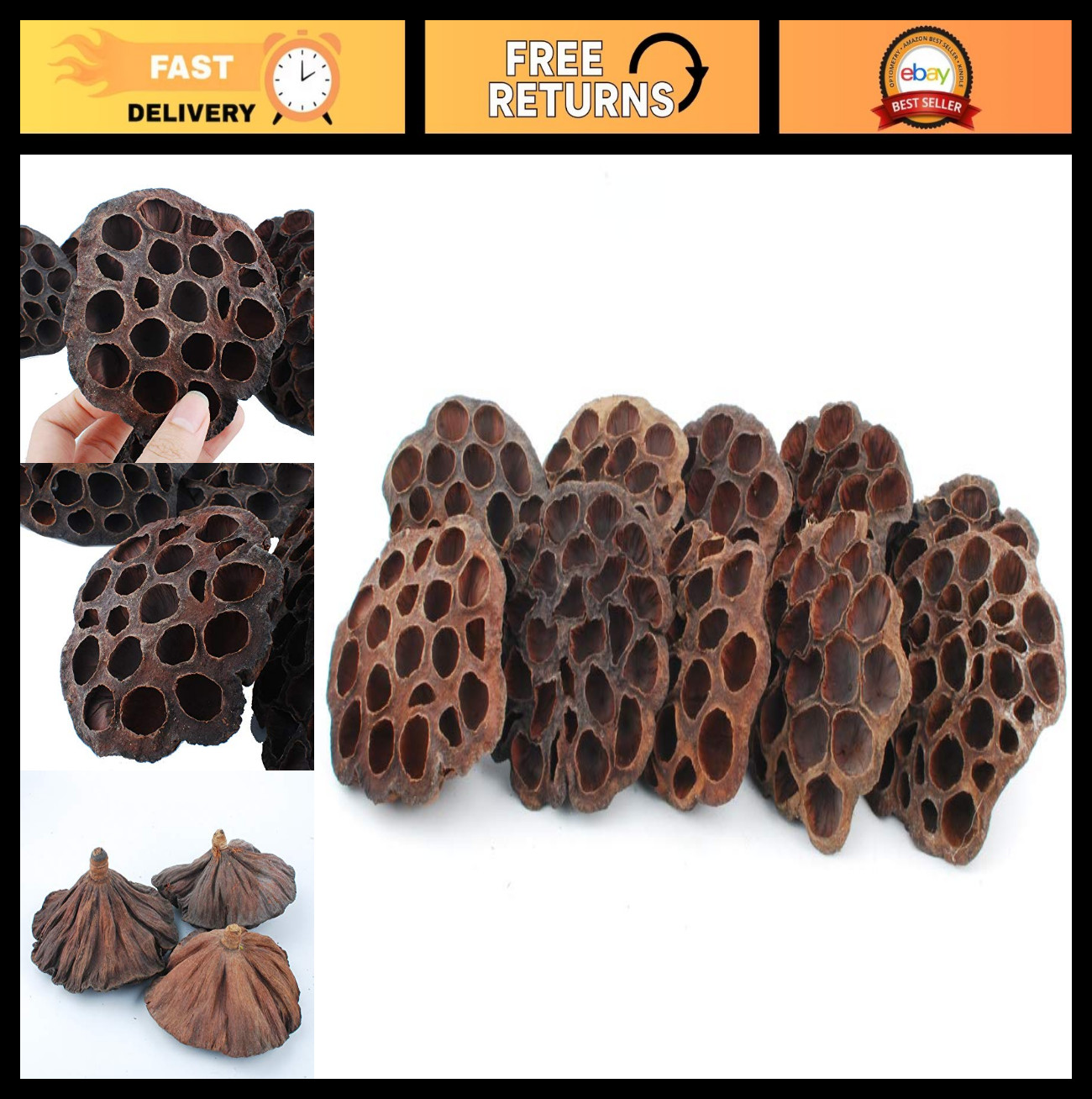 10PCS Dried Brown Lotus Pods – Natural Decor, No Seeds or Stems, 8-10CM
