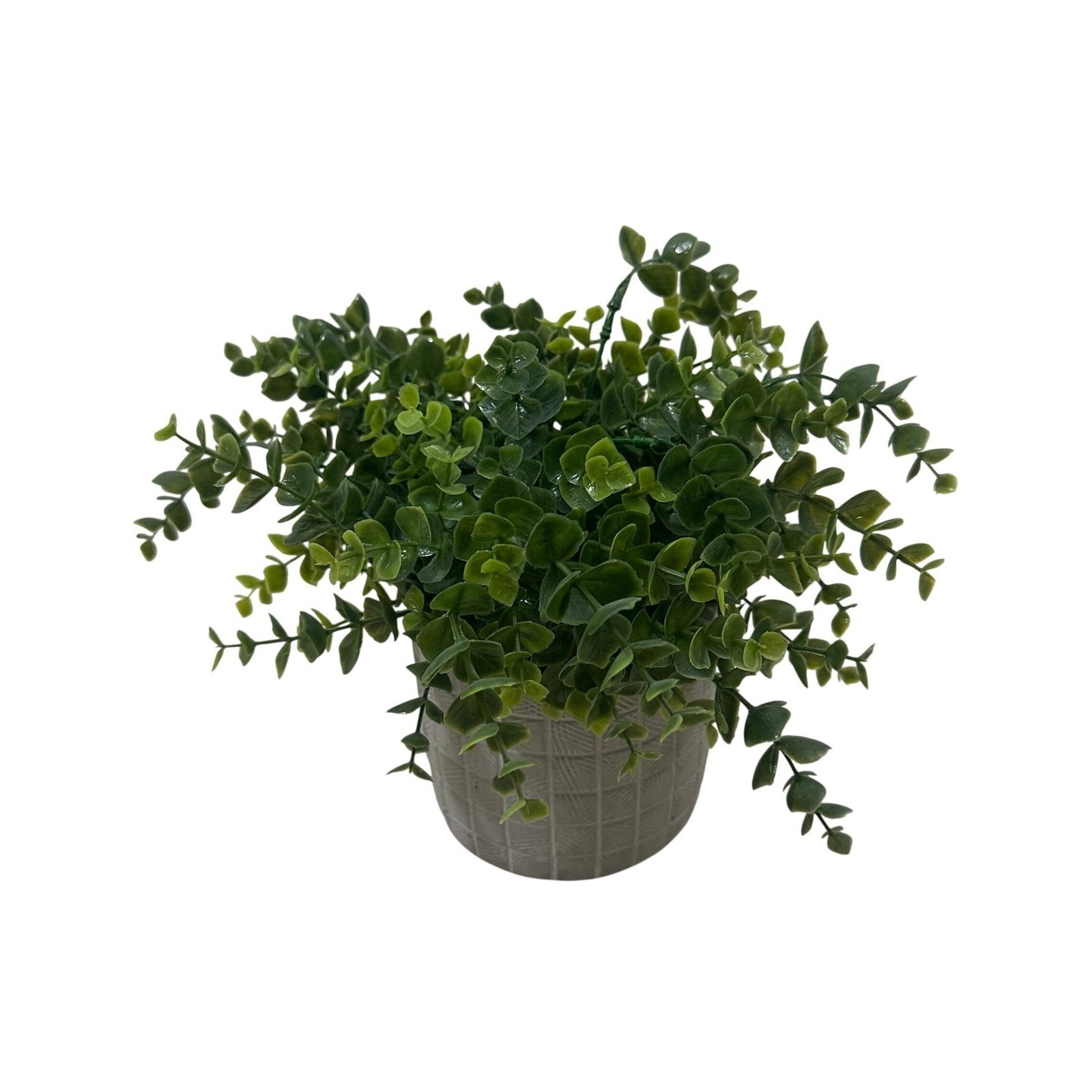 Artificial Eucalyptus Potted Plant Faux Greenery in Grey Textured Cement Pot