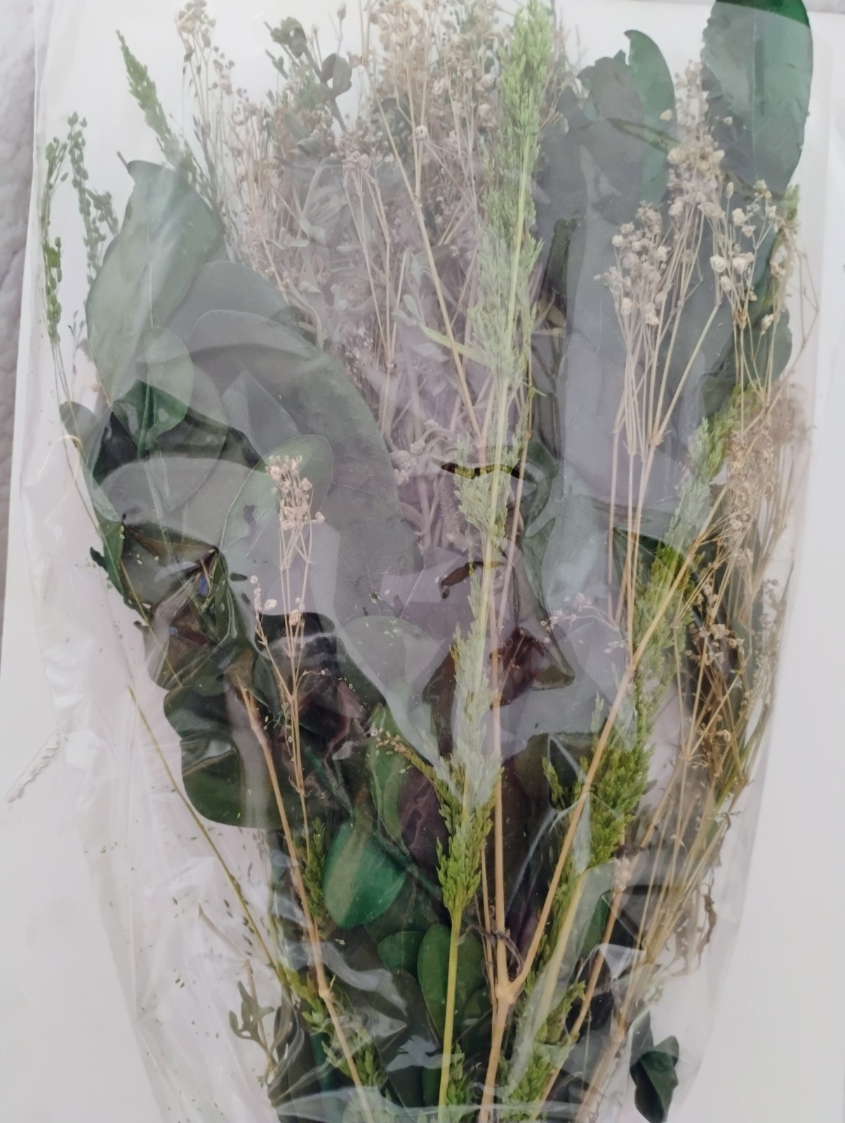 Lot of 2 Hearth & Hand Preserved Mixed Leaf with Magnolia & Grass Spring Bundle