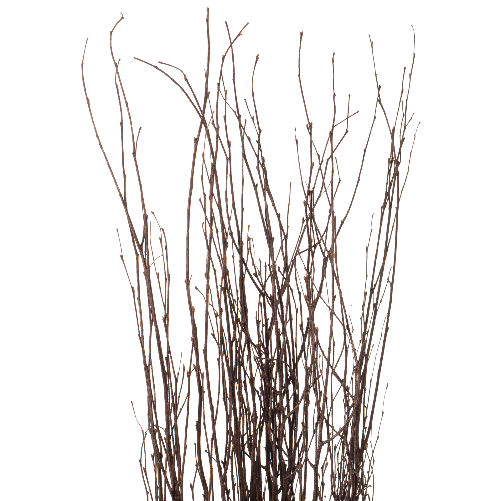 Decorative Dry Branches Authentic Willow Sticks for Home Decoration, Vase Filler