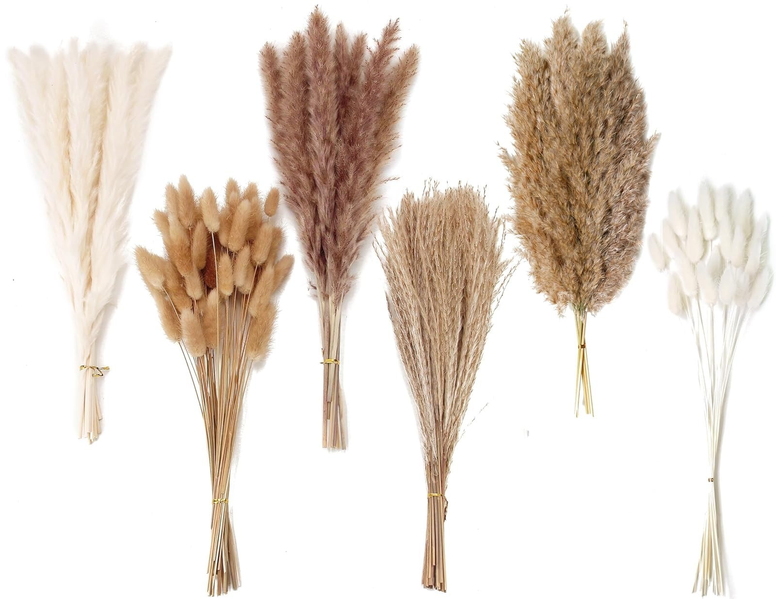 Natural Dried Pampas Grass Decor – 100 PCS for Boho Wedding & Home