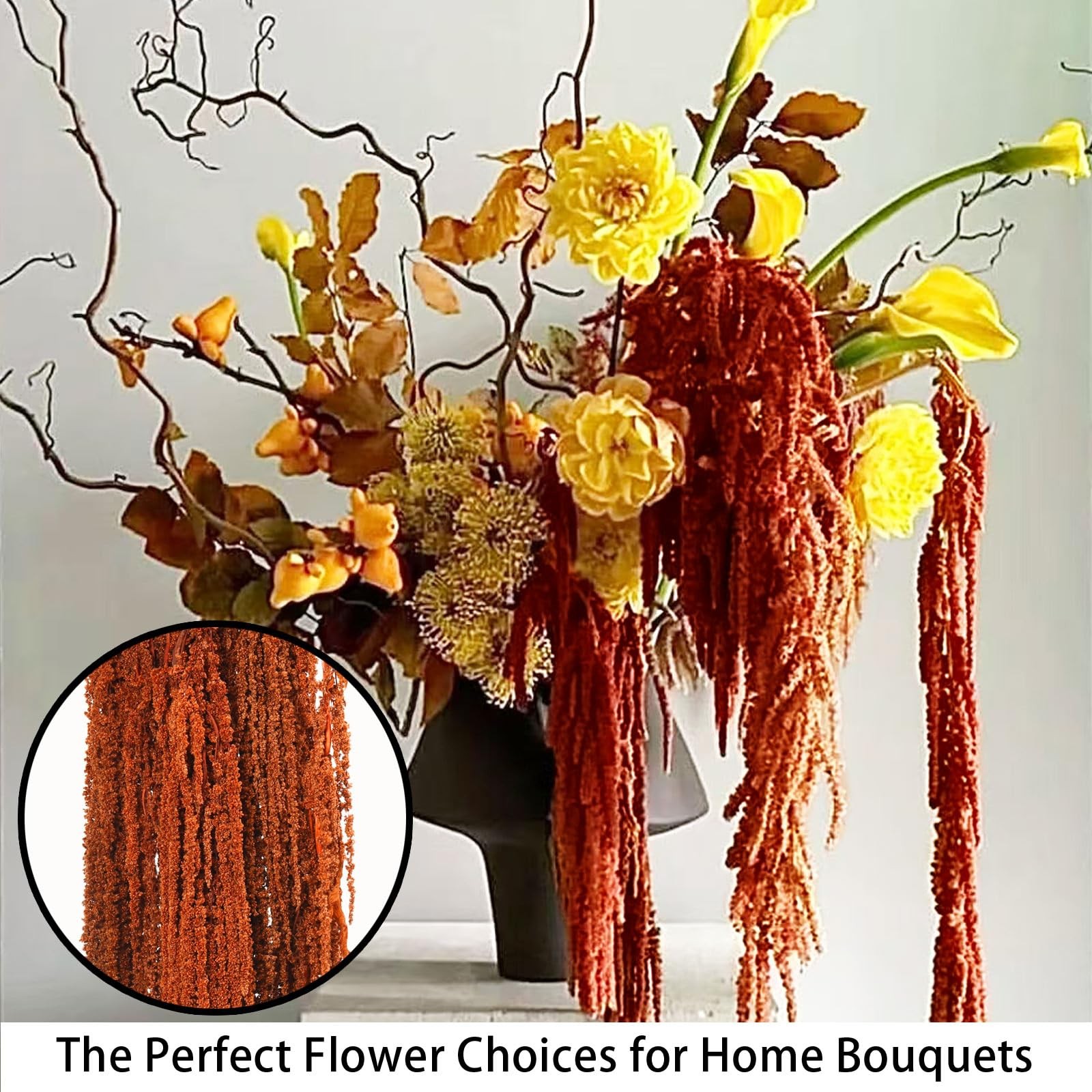 5Pcs Dried Amaranthus Hanging Flowers, Natural Preserved Flower for Wedding A…