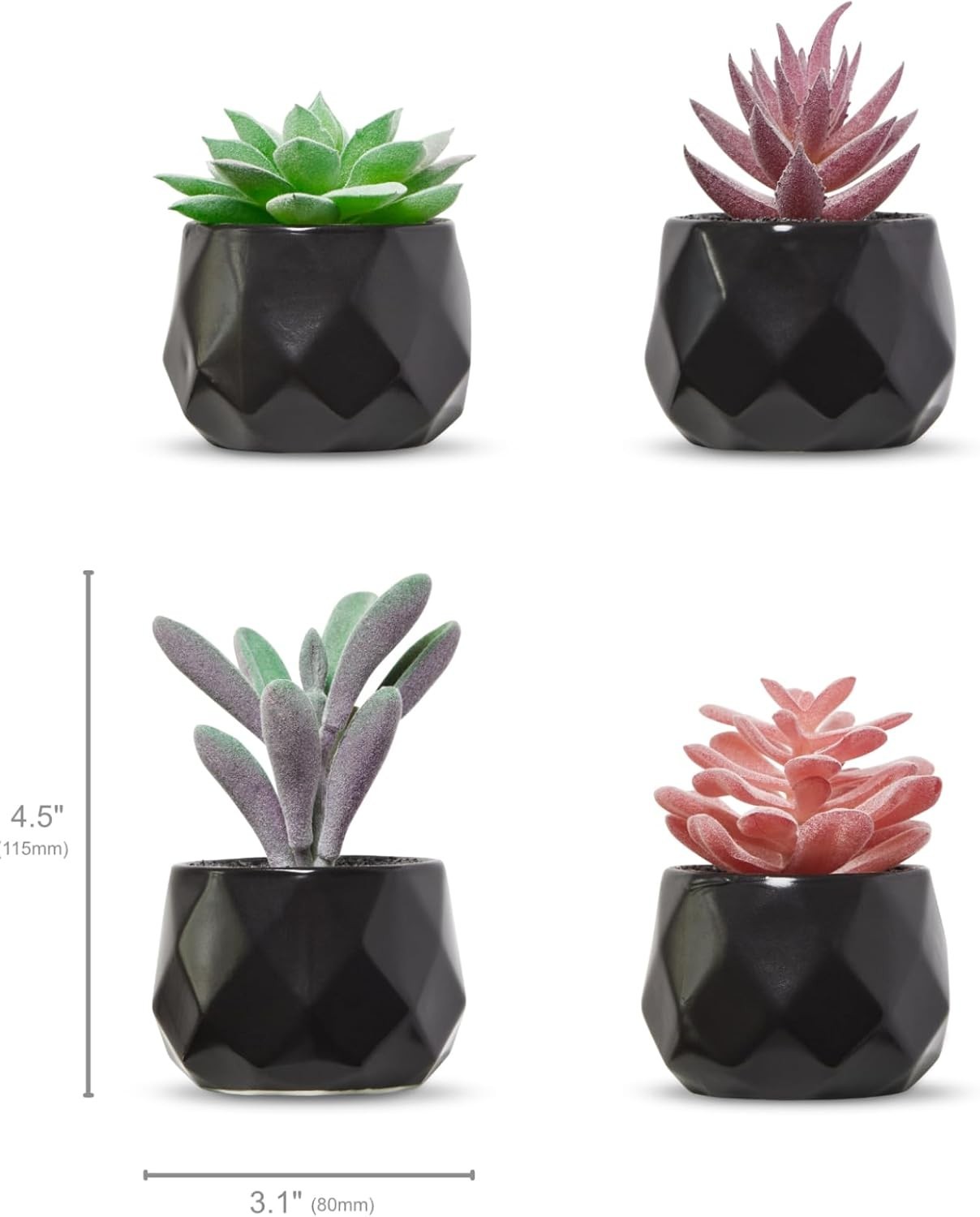 Set of 4 Desk Plants – Geometric Round Black Pots – Perfect for Bathro…