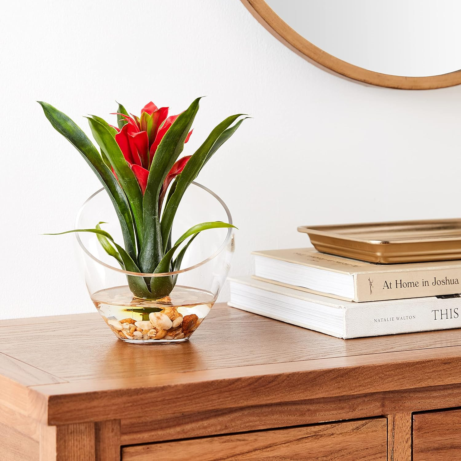 8In. Tropical Bromeliad in Angled Vase Artificial Arrangement