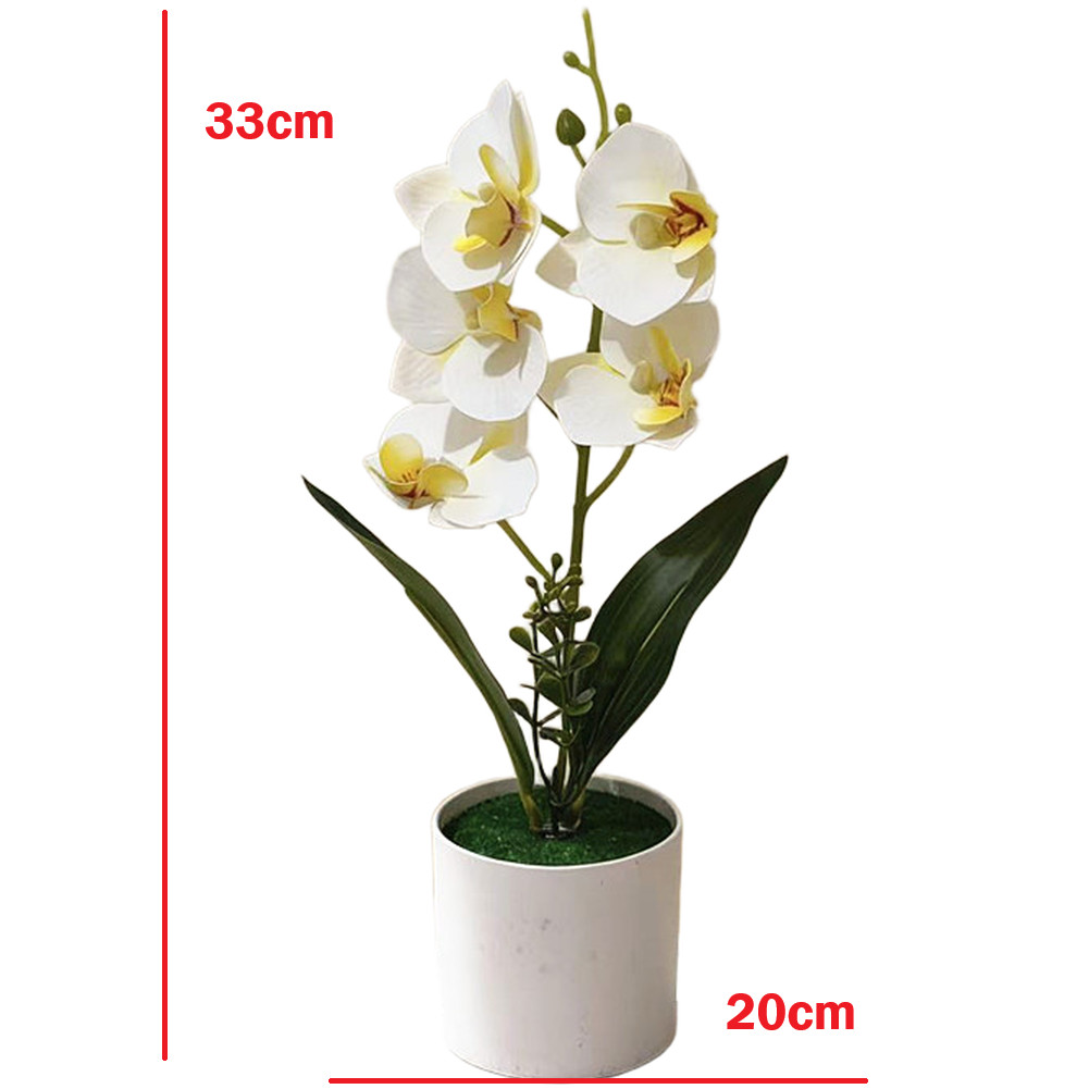 White Yellow Purple Blue Phalaenopsis Orchid Arrangement for Indoor Desk Decor