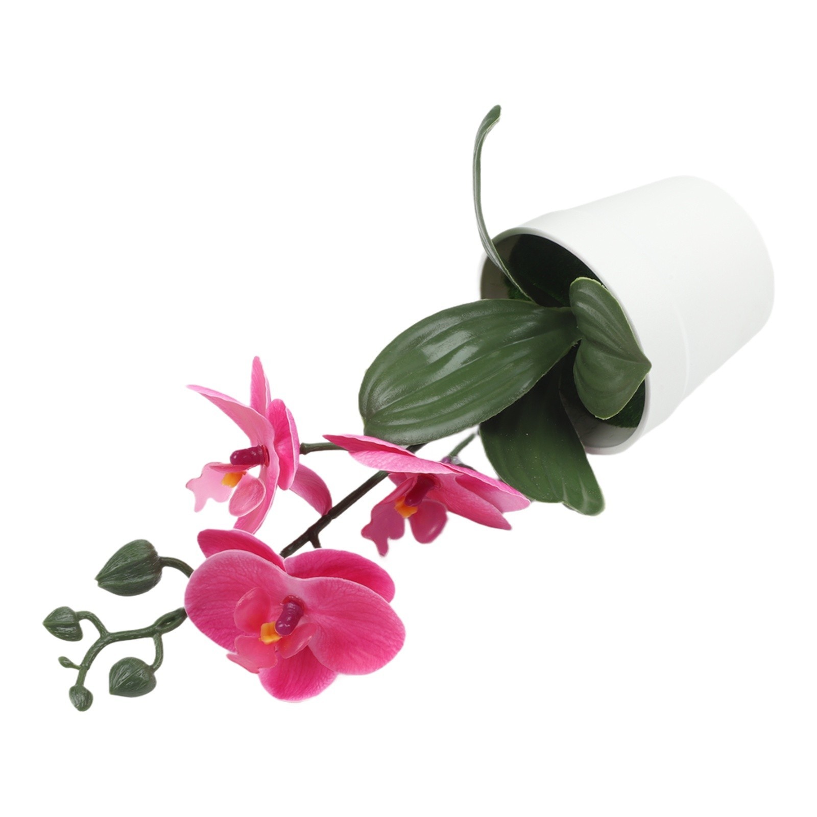 Phalaenopsis Bonsai Decorative Faux Plant Table Decoration Long-lasting Beauty