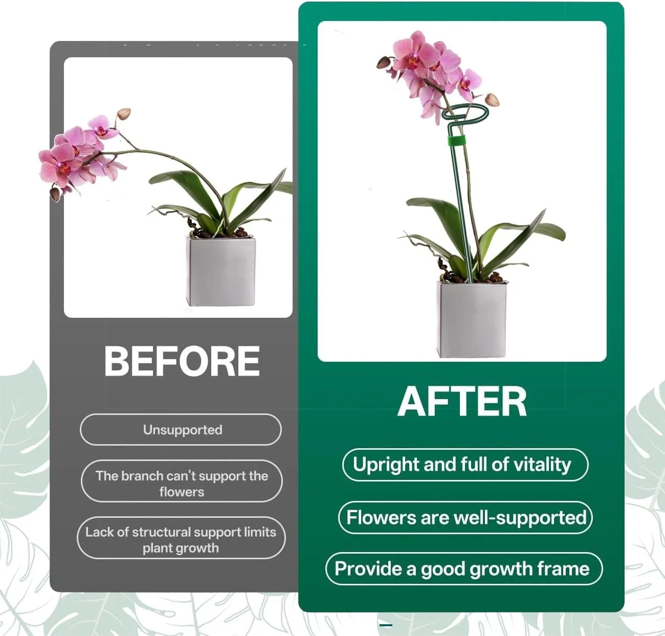 6 Pack 24 Inch Plant Support Stakes,Extendable Plant Stakes,Orchid Sticks with C