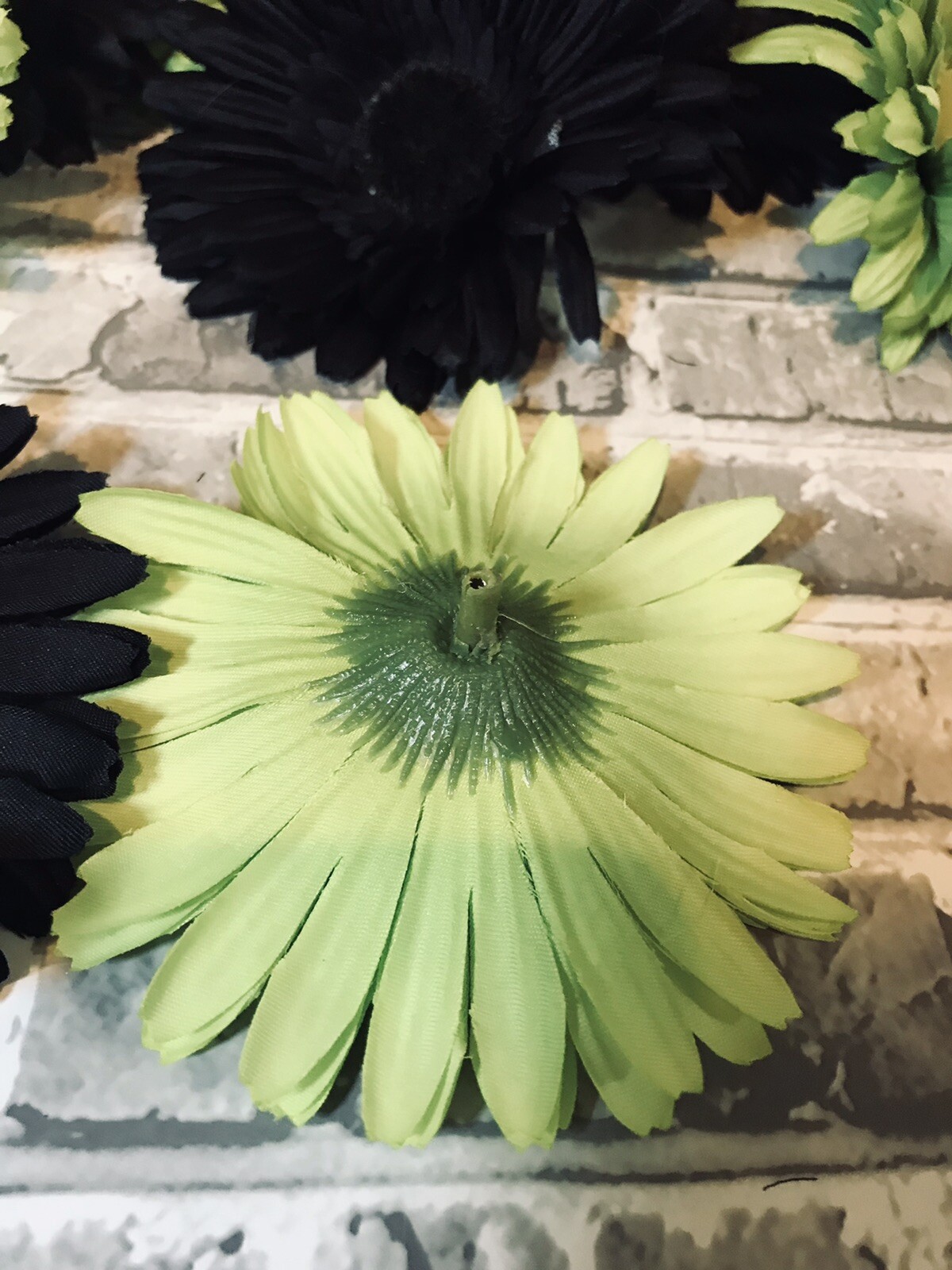 Gerber Silk Daisies 4 1/2” Flowers No Stem Black & Green Vase Fillers Crafts X8