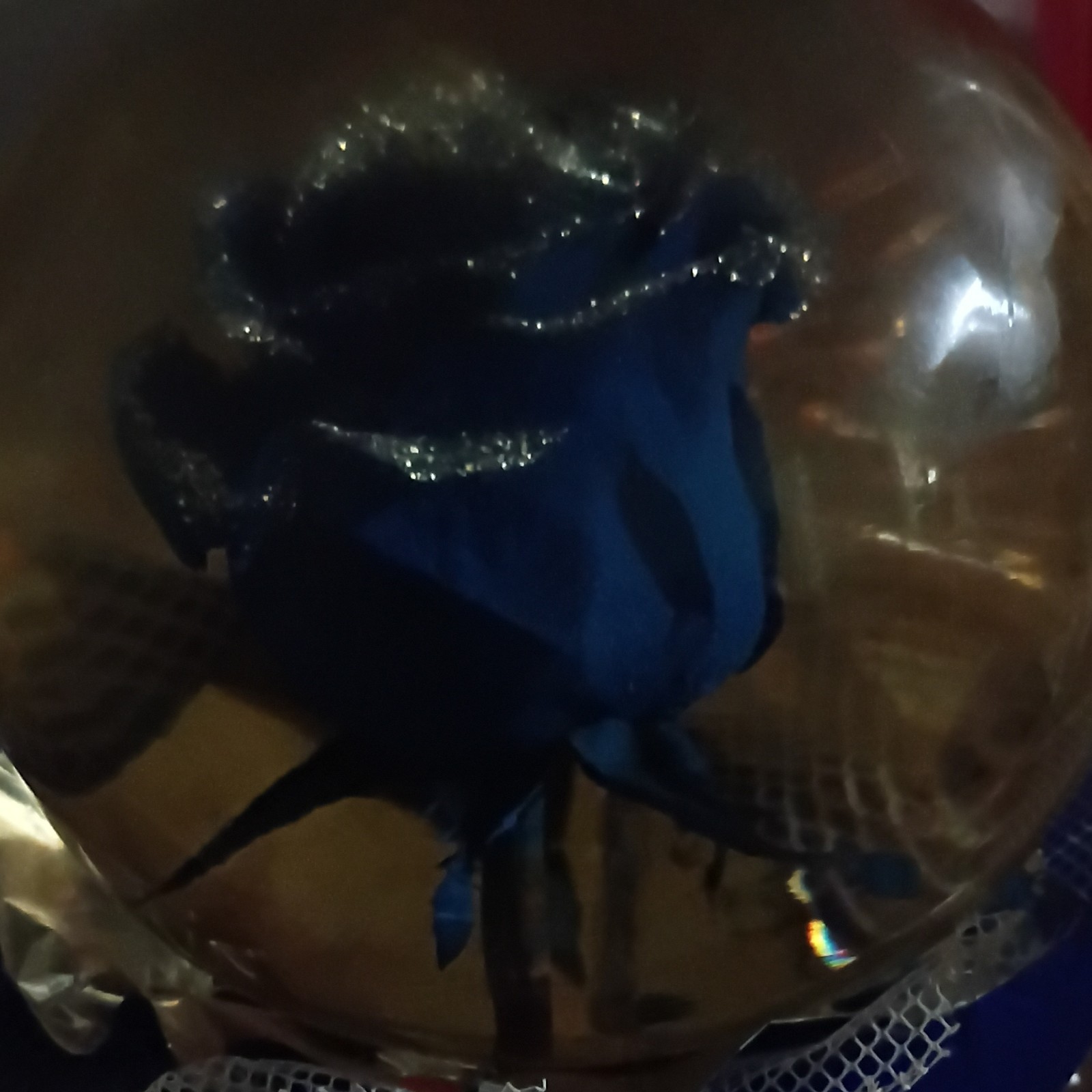blue rose that doesn’t get old inside a circle glass container