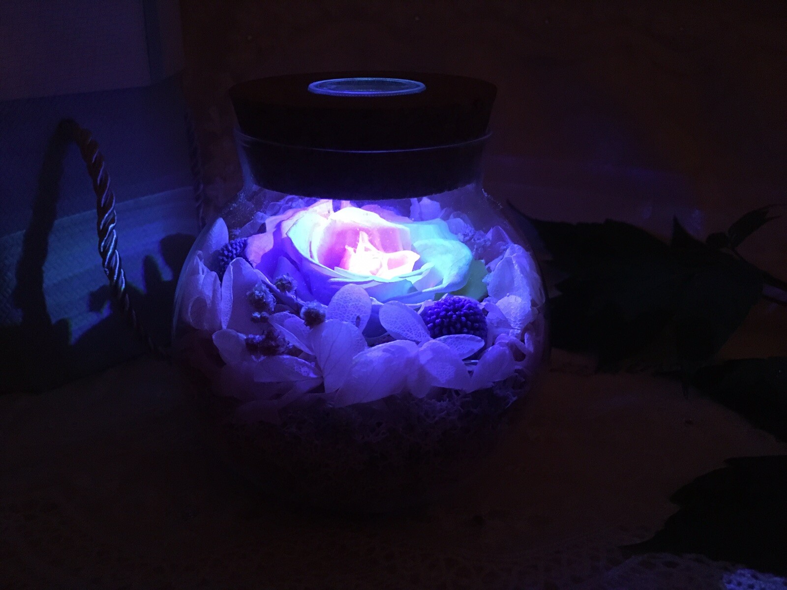 Sanran Forever Eternal Real Preserved Rose With Led Mood Light Valentine Gift