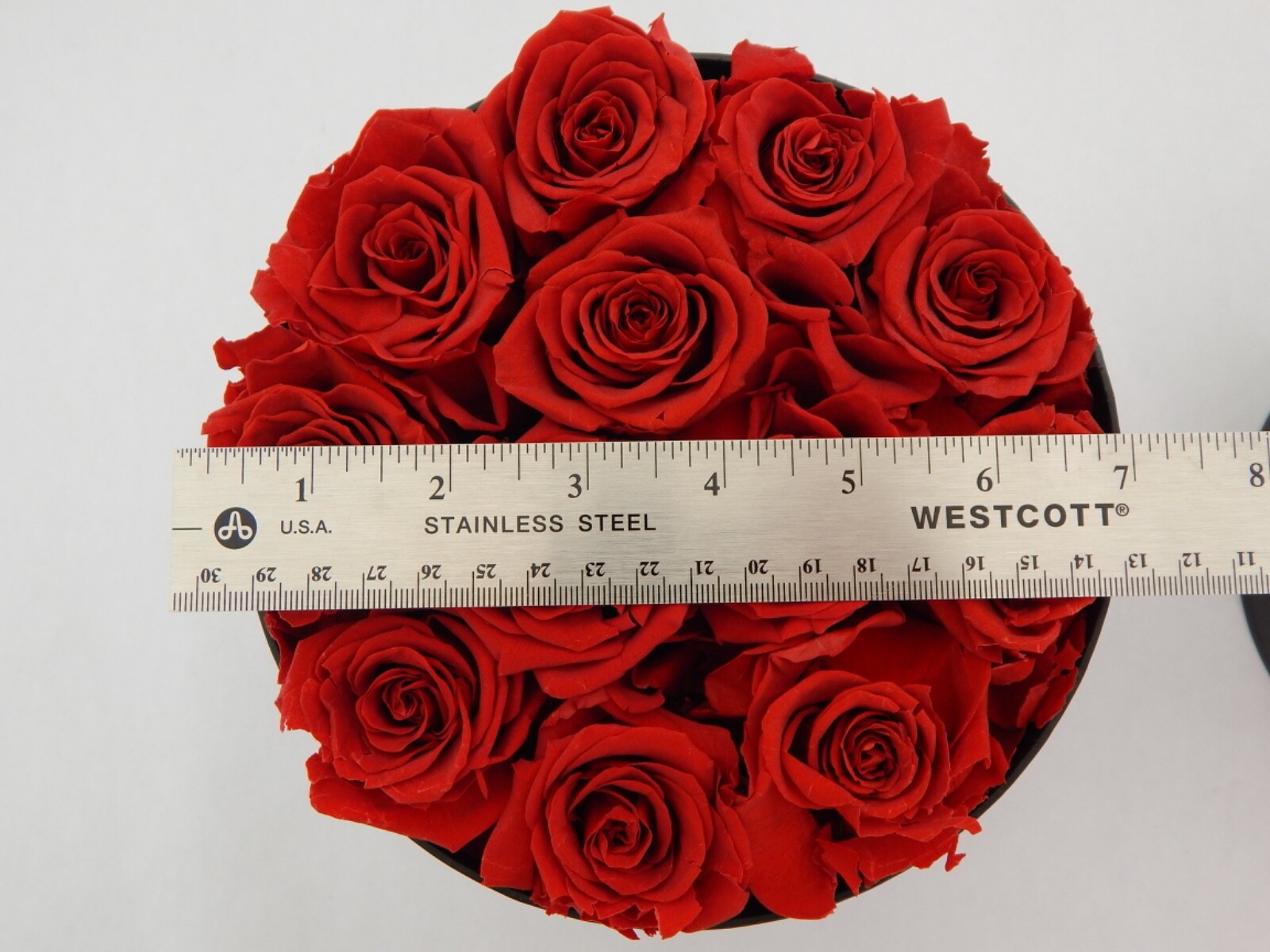 VLove® Forever Preserved Roses in a Box Real Forever Flowers Eternal Rose Red