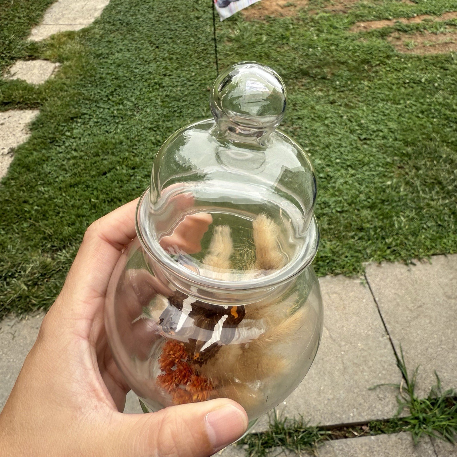 Vintage Glass Dome Apothecary Butterfly Terrarium Boho MCM Cottagecore 7” Floral