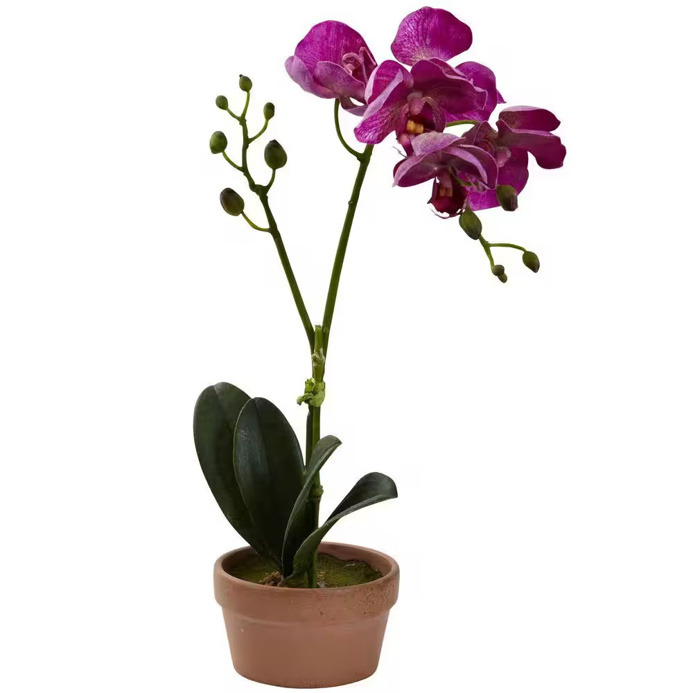 Artificial Phalaenopsis Orchid with Clay Vase (Set of 4)