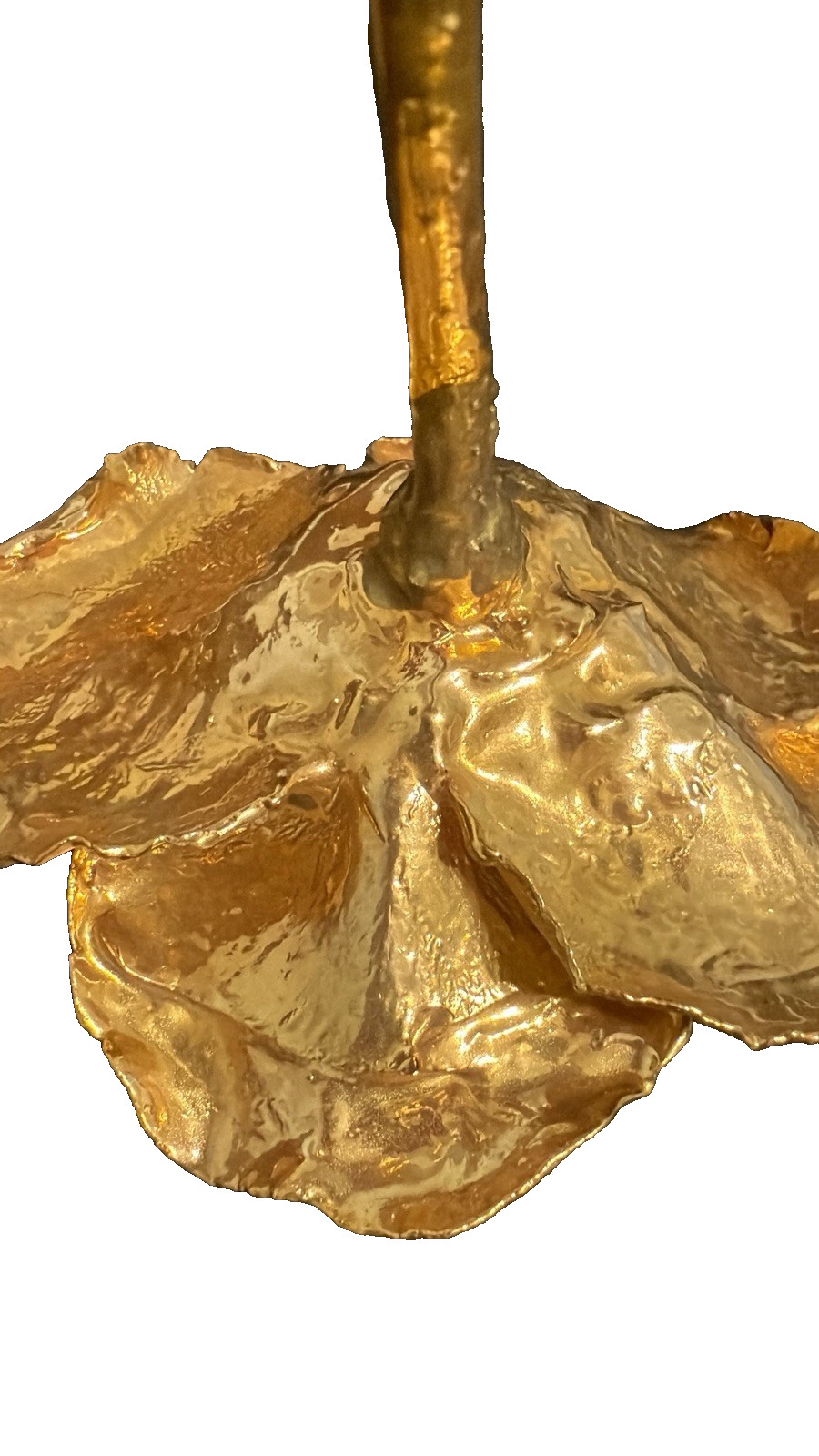 Real Natural Rose Flower Coated Preserved And Dipped In Gold
