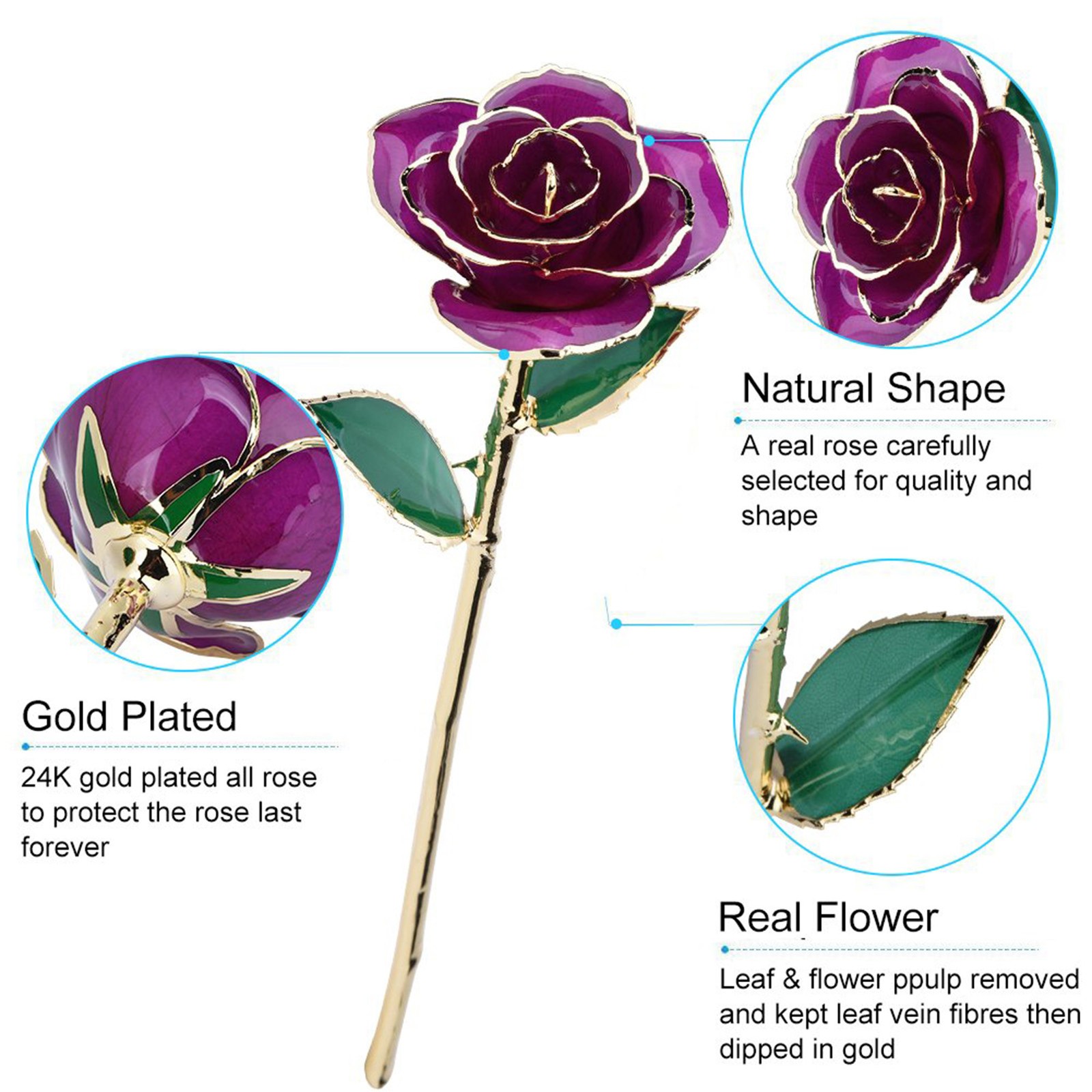 Real Purple Rose 24K Gold Dipped Preserved Flower Gift Home Decoration For Valen