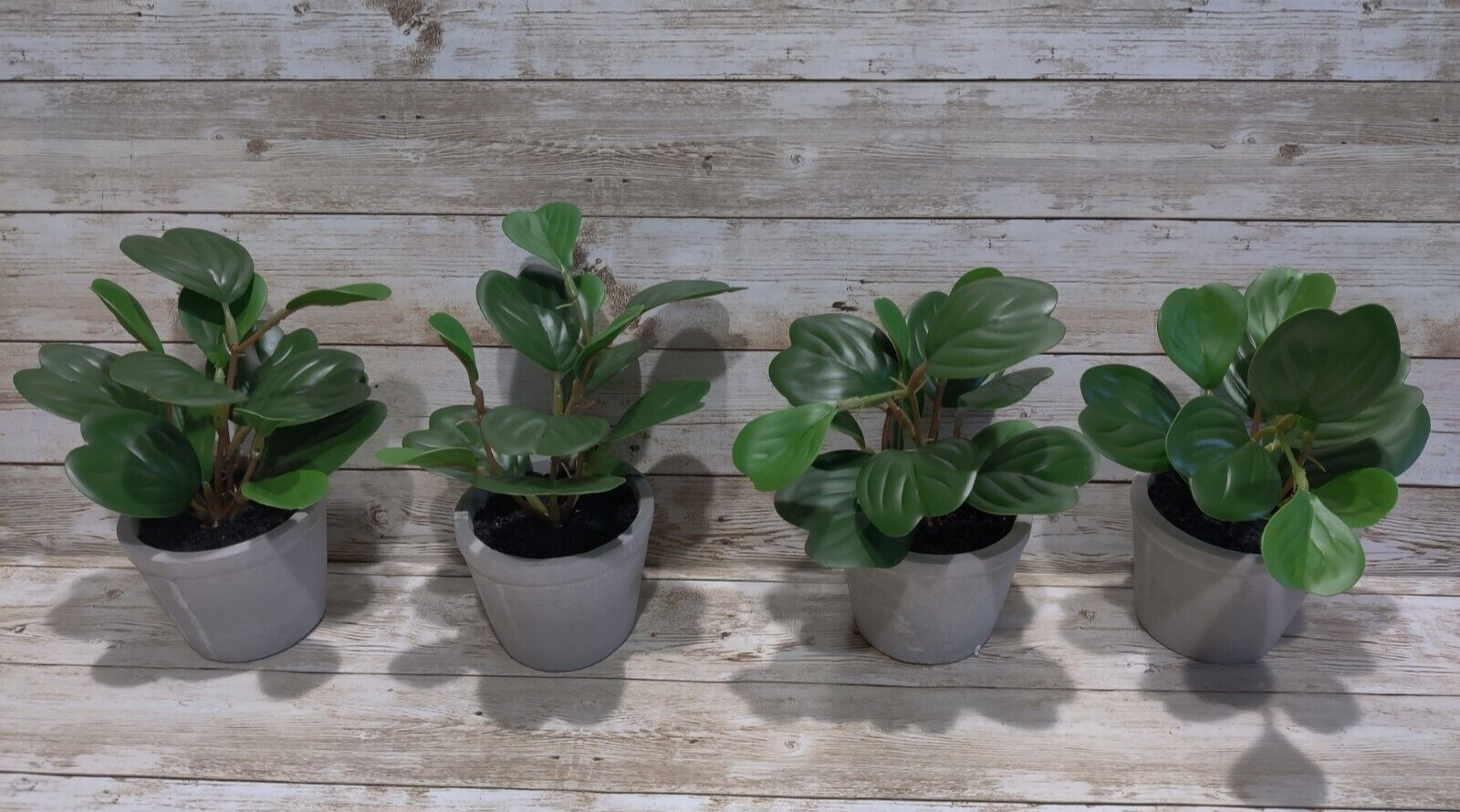 Faux Hoya Heart Potted Plant from Hearth and Hand with Magnolia *4 Pack* 7″ Mini