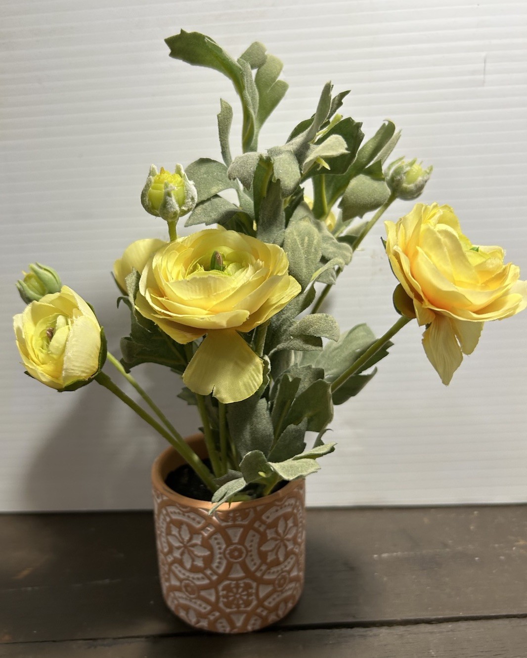 Yellow Ranunculus Flowers In Patterned, Terra-Cotta Pot, Sage, Green Foliage