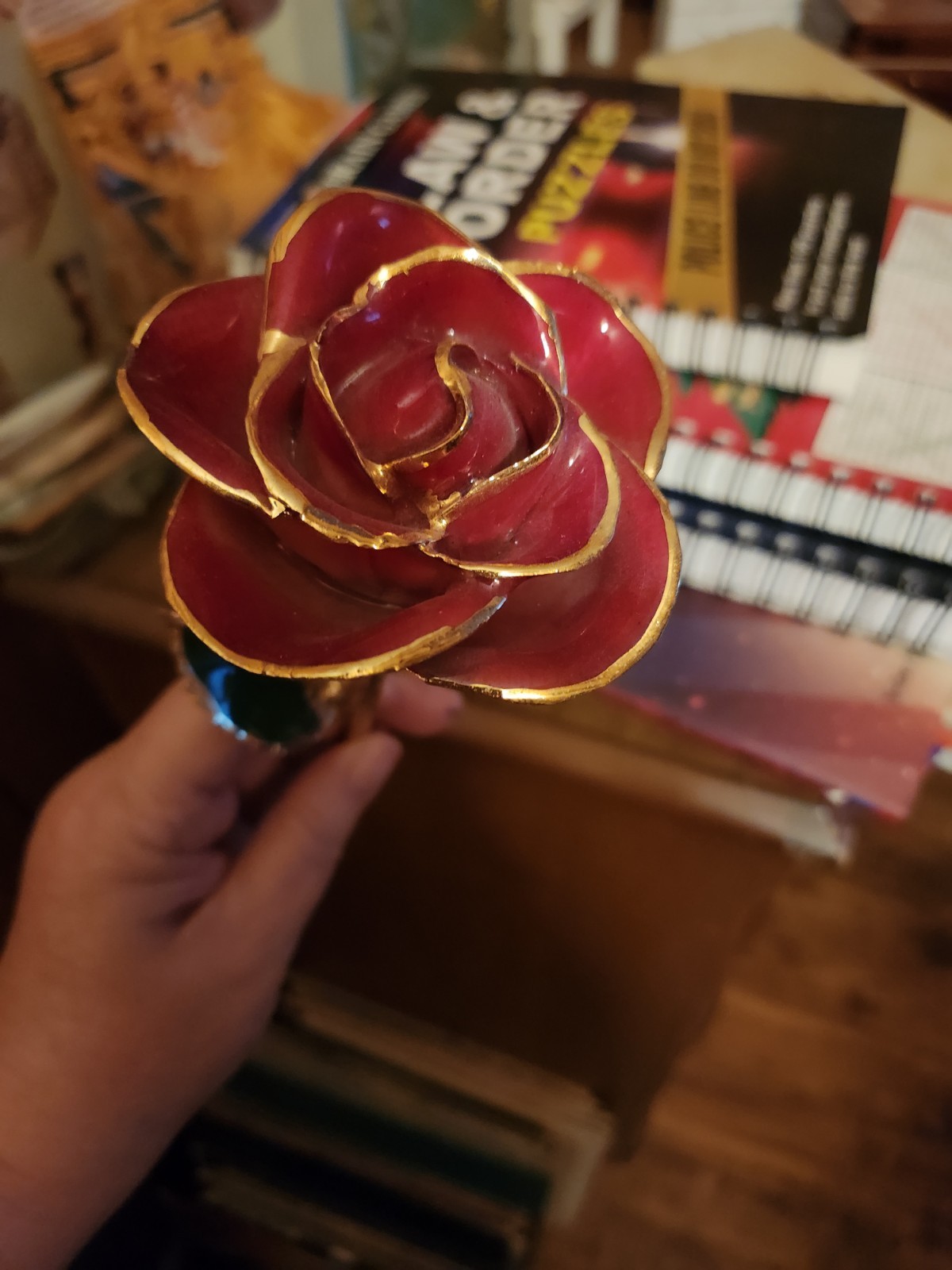 24k Gold Dipped Gold Red Opened Long Stem Rose