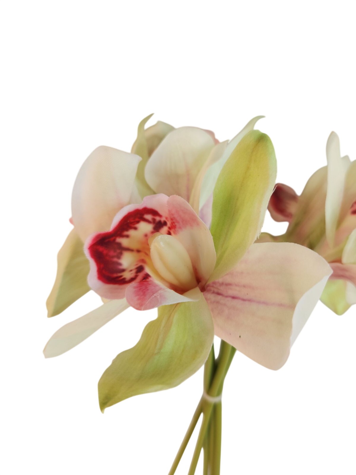 Artificial Cymbidium Orchid Stems Cream Green Burgundy Faux Orchid Bouquet Reali