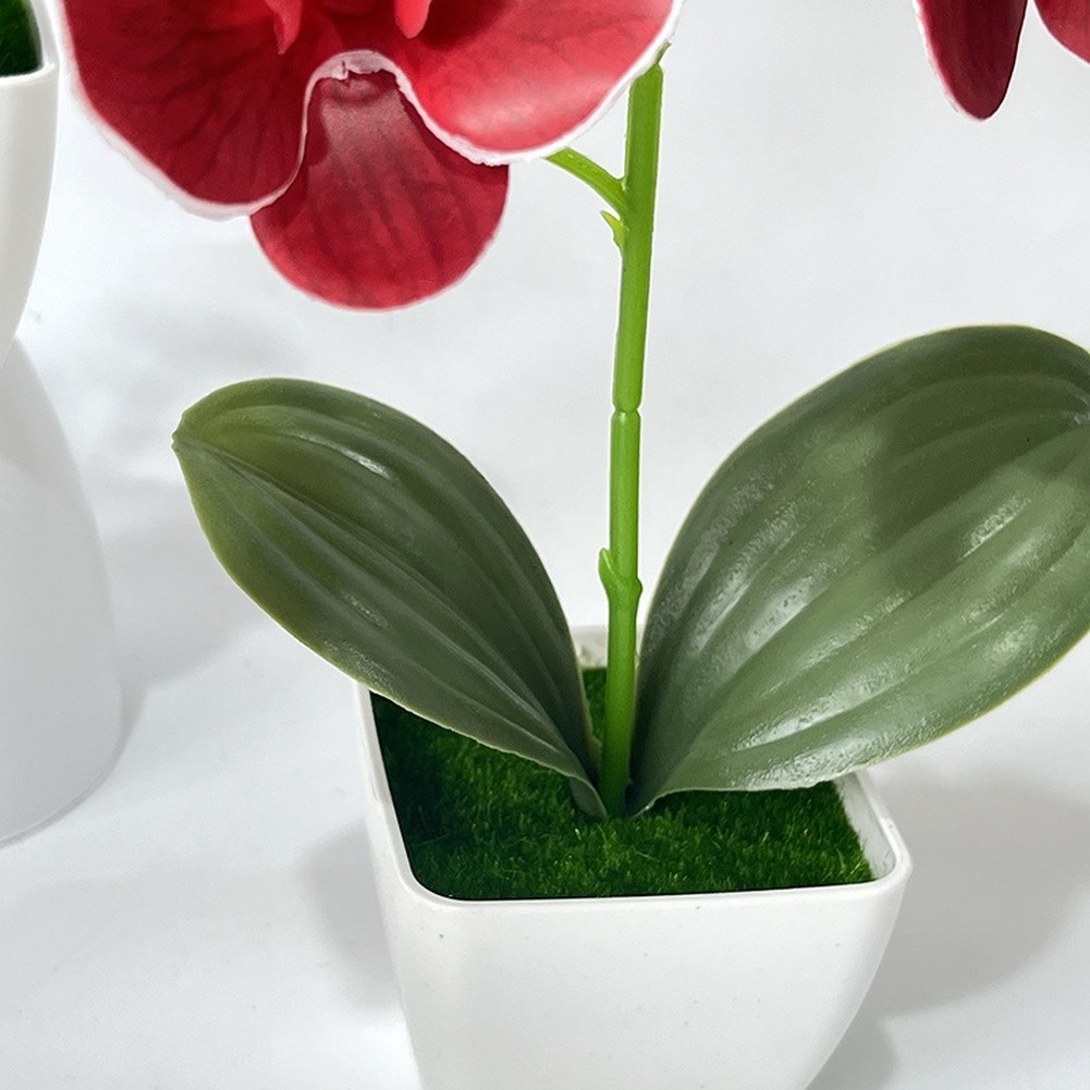 Artificial Phalaenopsis Orchid in White Square Pot for Home Office Decor