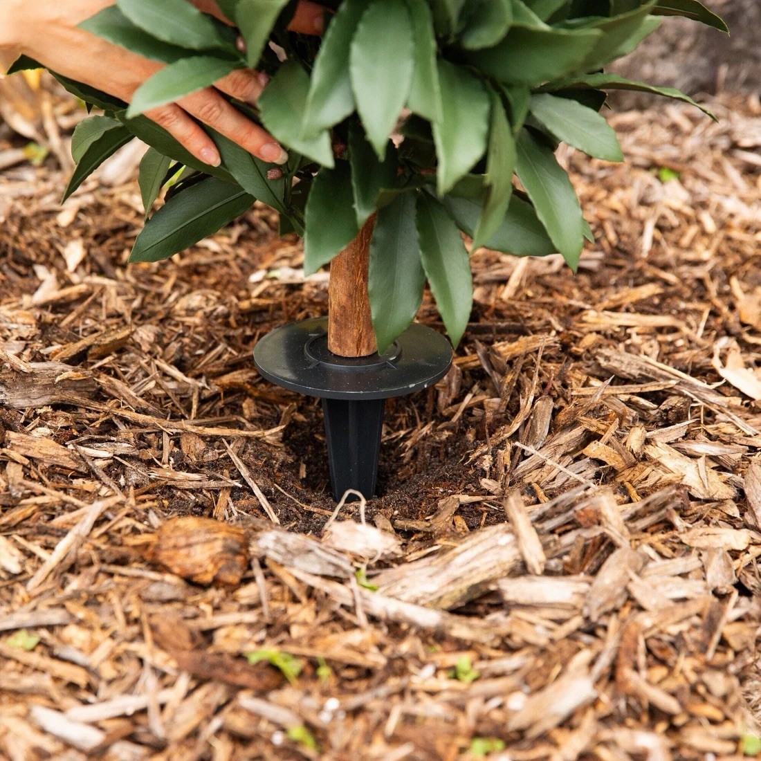 3′ UV Artificial Laurel Plant with Integrated Ground Stake (Indoor/Outdoor)