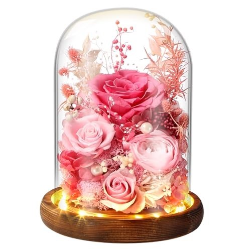 LED Glass Dome Flower Light – Long-Lasting Real Flower Gift for Women, Moms & Fr