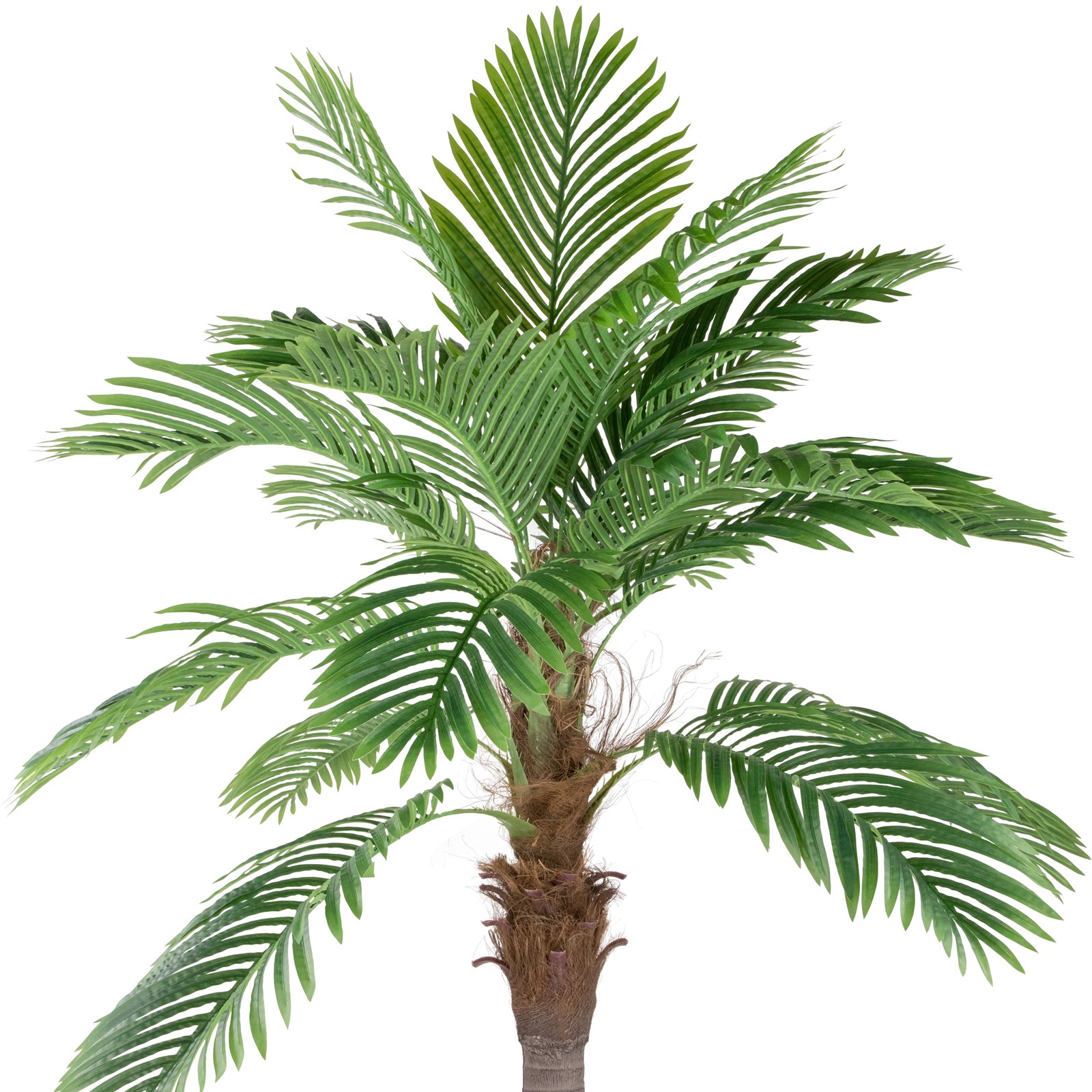 Northlight 8′ Potted Artificial Brown and Green Phoenix Palm Tree