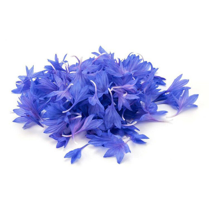 100 Dwarf Blue BACHELORS BUTTON CORNFLOWER Centaurea Cyanus Flower Seeds