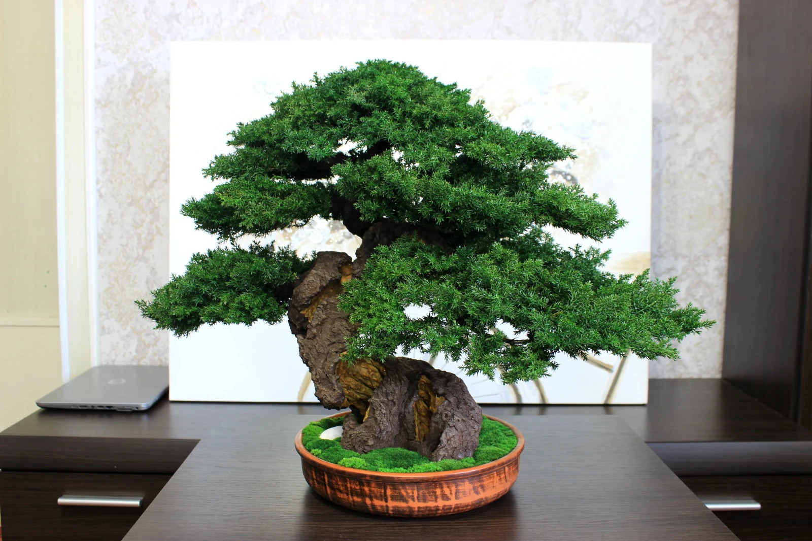 Artistic Preserved Bonsai Tree – Handmade Juniper Decor Sculpture. 49 cm / 19.3″
