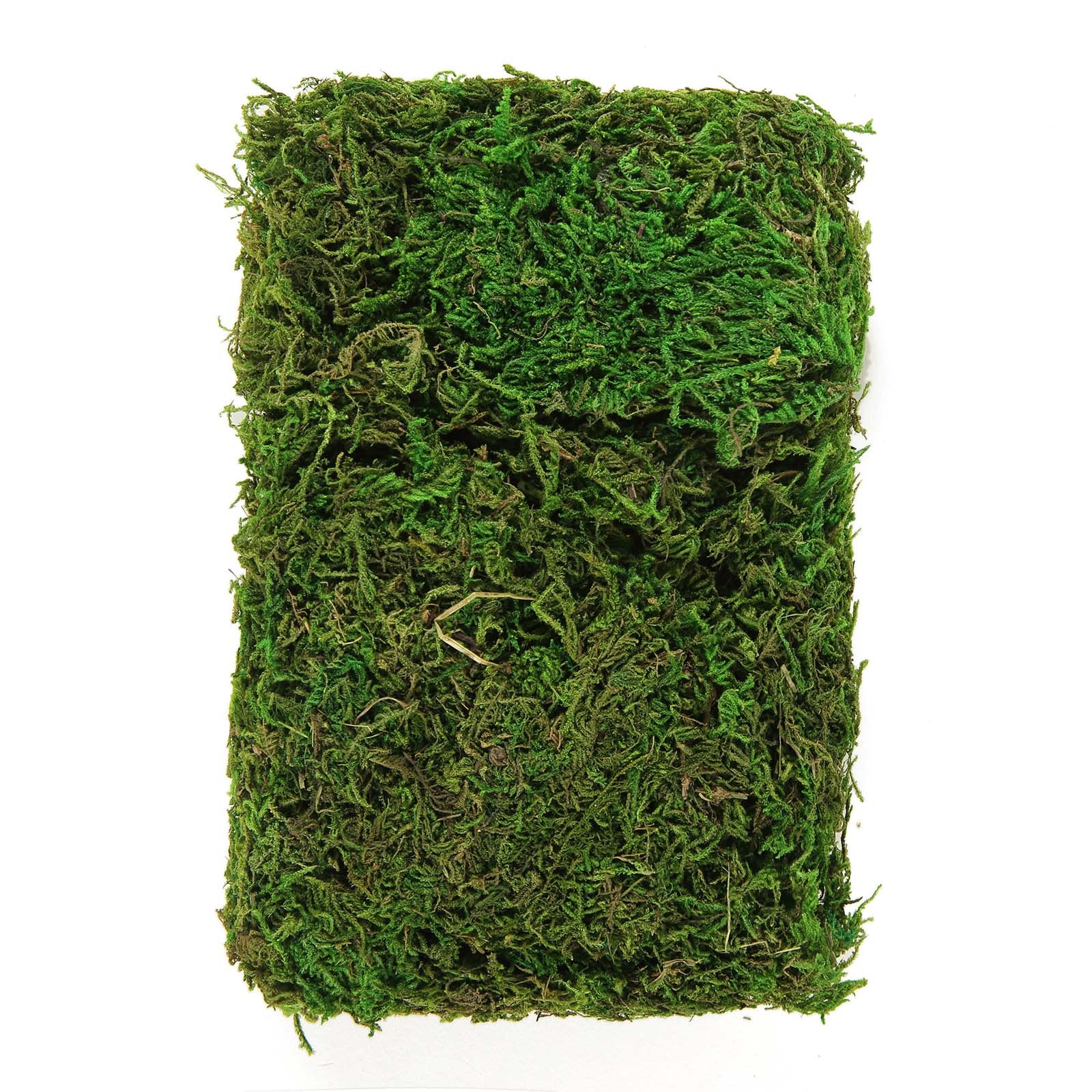 50g Green Natural Reindeer Moss Basket Vase Fillers Wedding Home Decorations