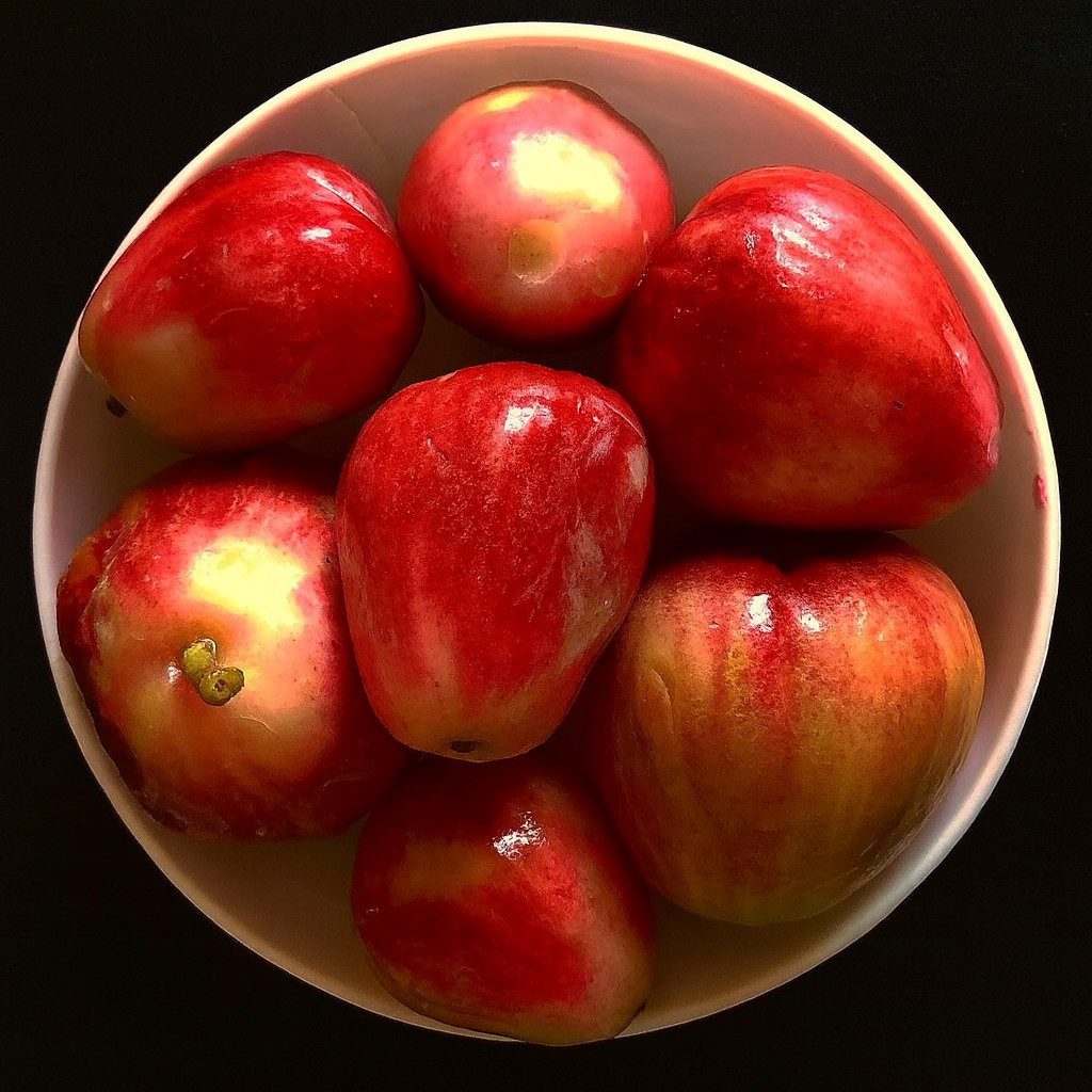 Syzygium malaccense 70-120cm | Malay apple | Mountain apple – Malay apple | Moun