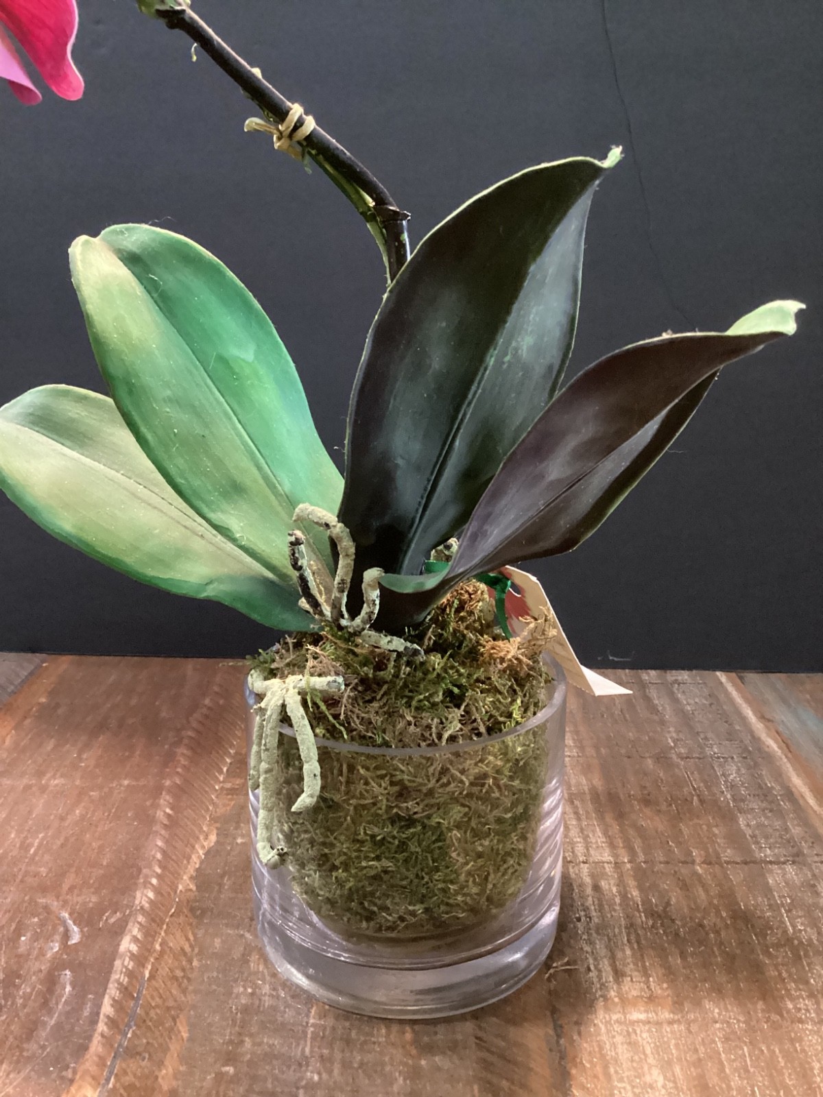Realistic Artificial phalaenopsis Orchid plant in clear glass vase w/green moss