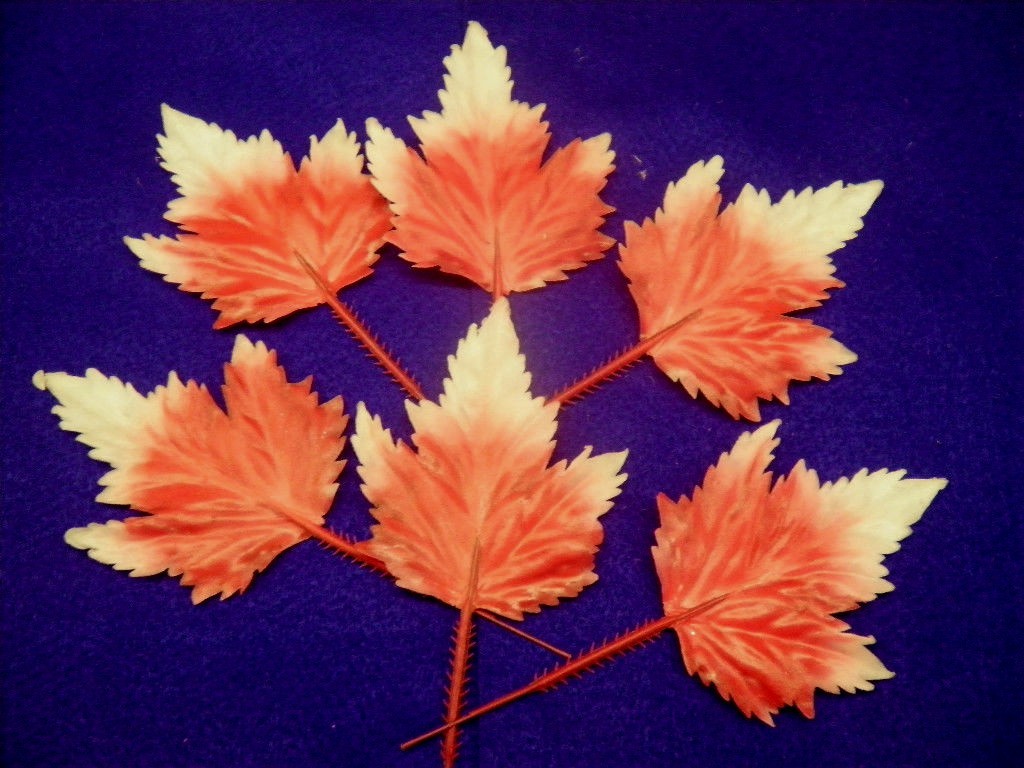 6 Vintage Vinyl Maple Leaves – Red and White Variegated