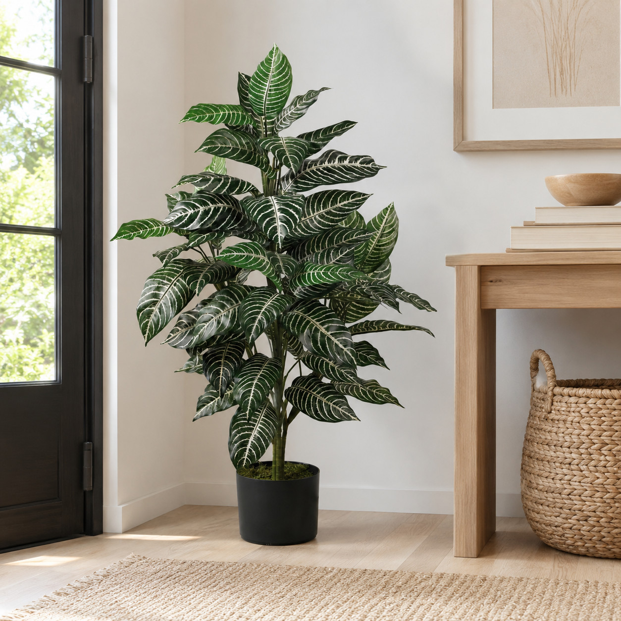 3′ Zebra Silk Plant
