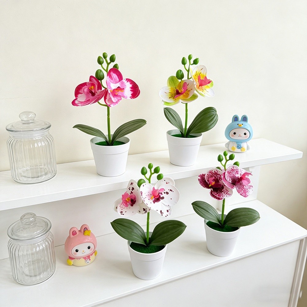Miniature Phalaenopsis Decor Realistic Butterfly Blooms Handcrafted Detail
