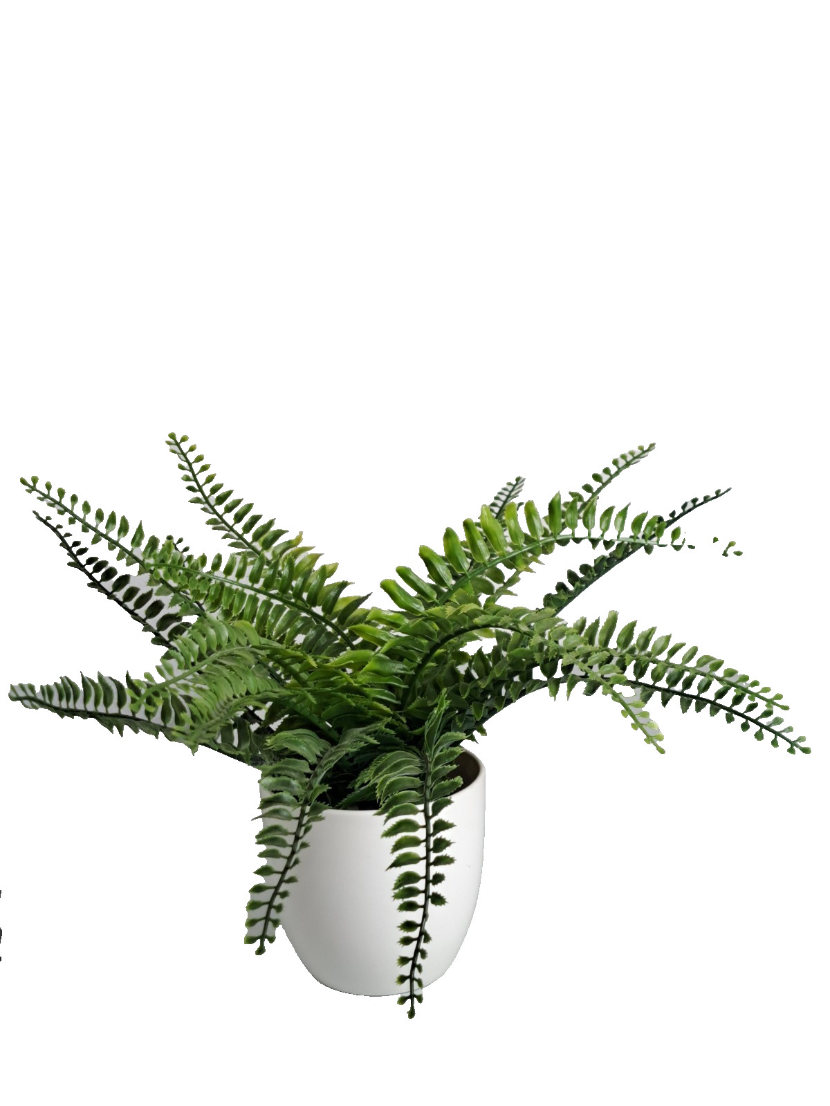 Artificial Decorative Faux Boston Fern 4″ Potted Plant