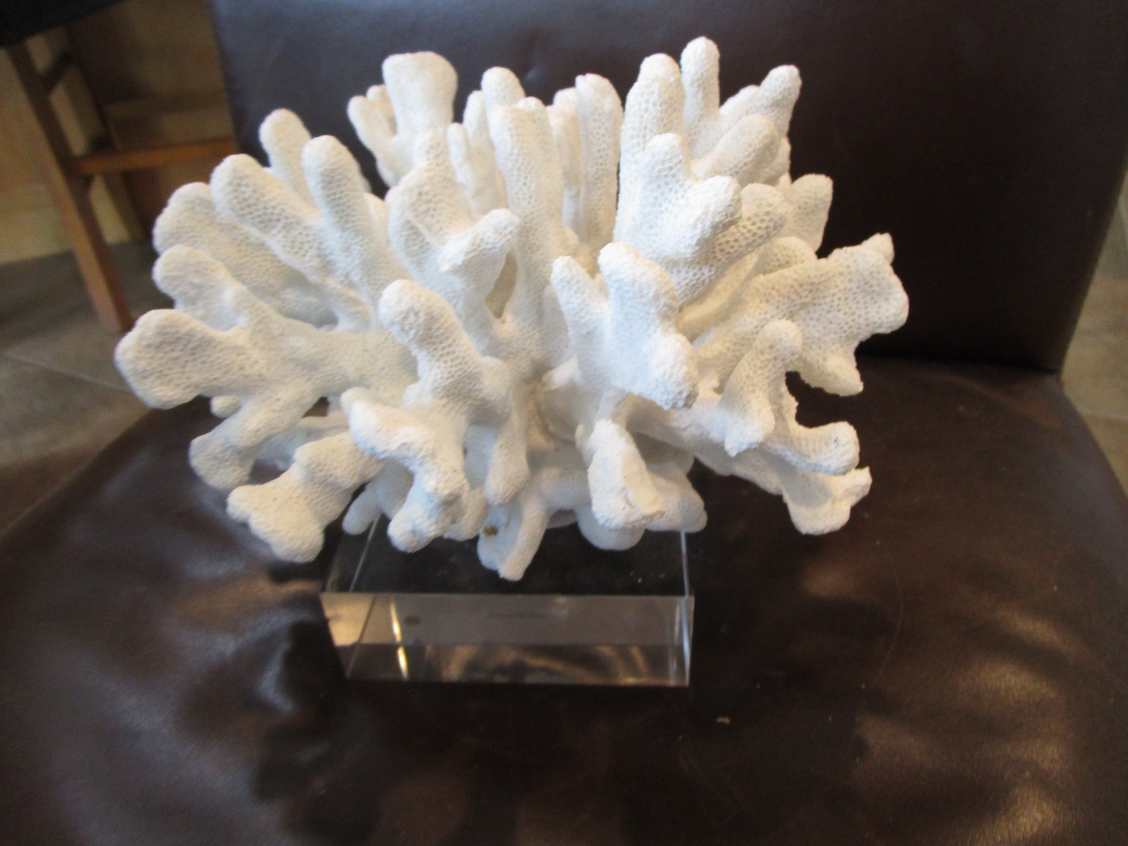 Williams Sonoma Resin Quartz cluster sculpture on glass base beach shell GUC