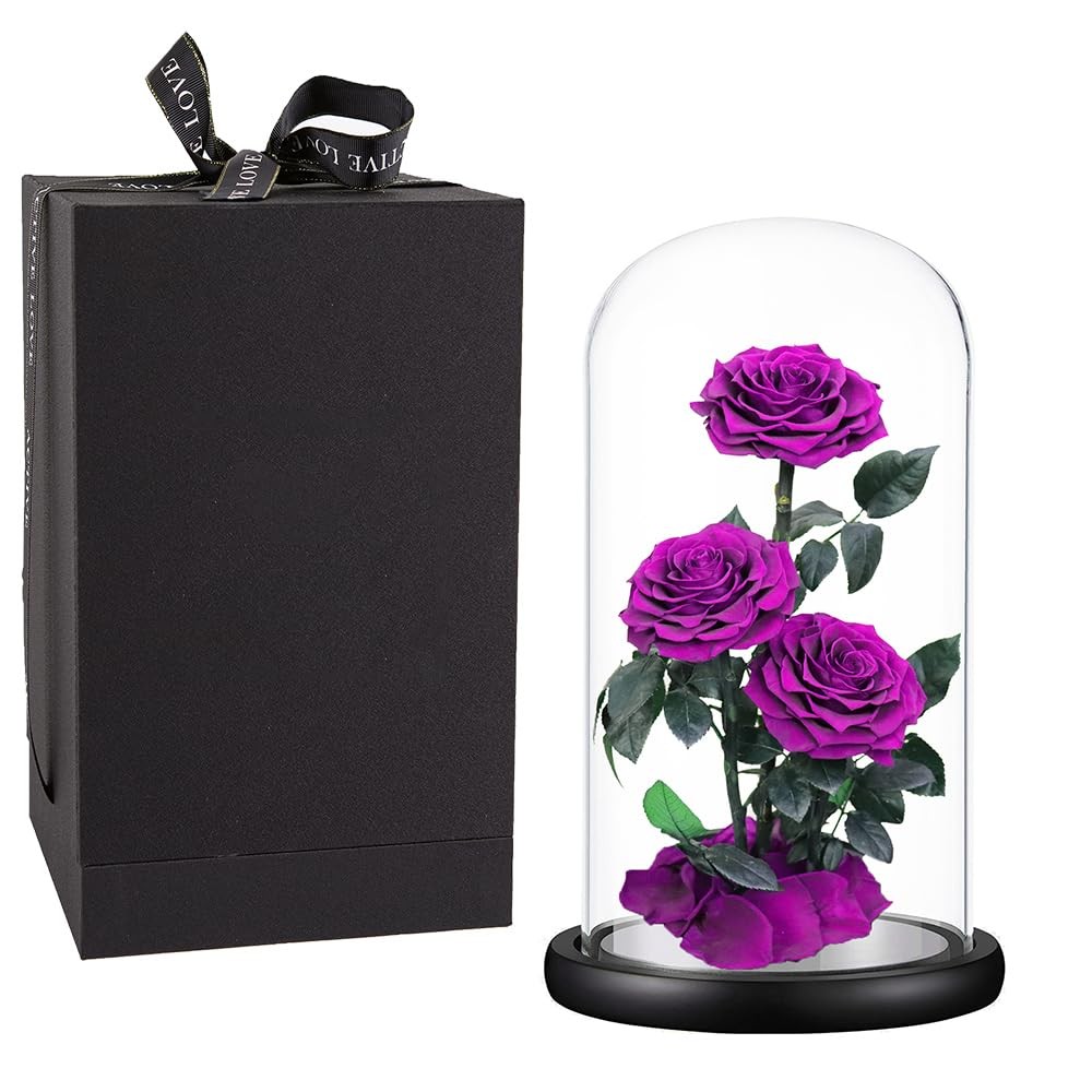 Purple Roses Handmade Rose in Glass Dome, Preserved Flowers Never Withered, B…