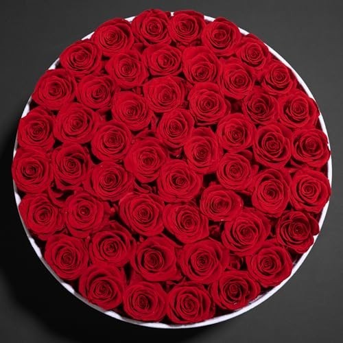 50-Piece Velvet Box Roses – Preserved Flowers for Delivery, Birthday Gifts for W